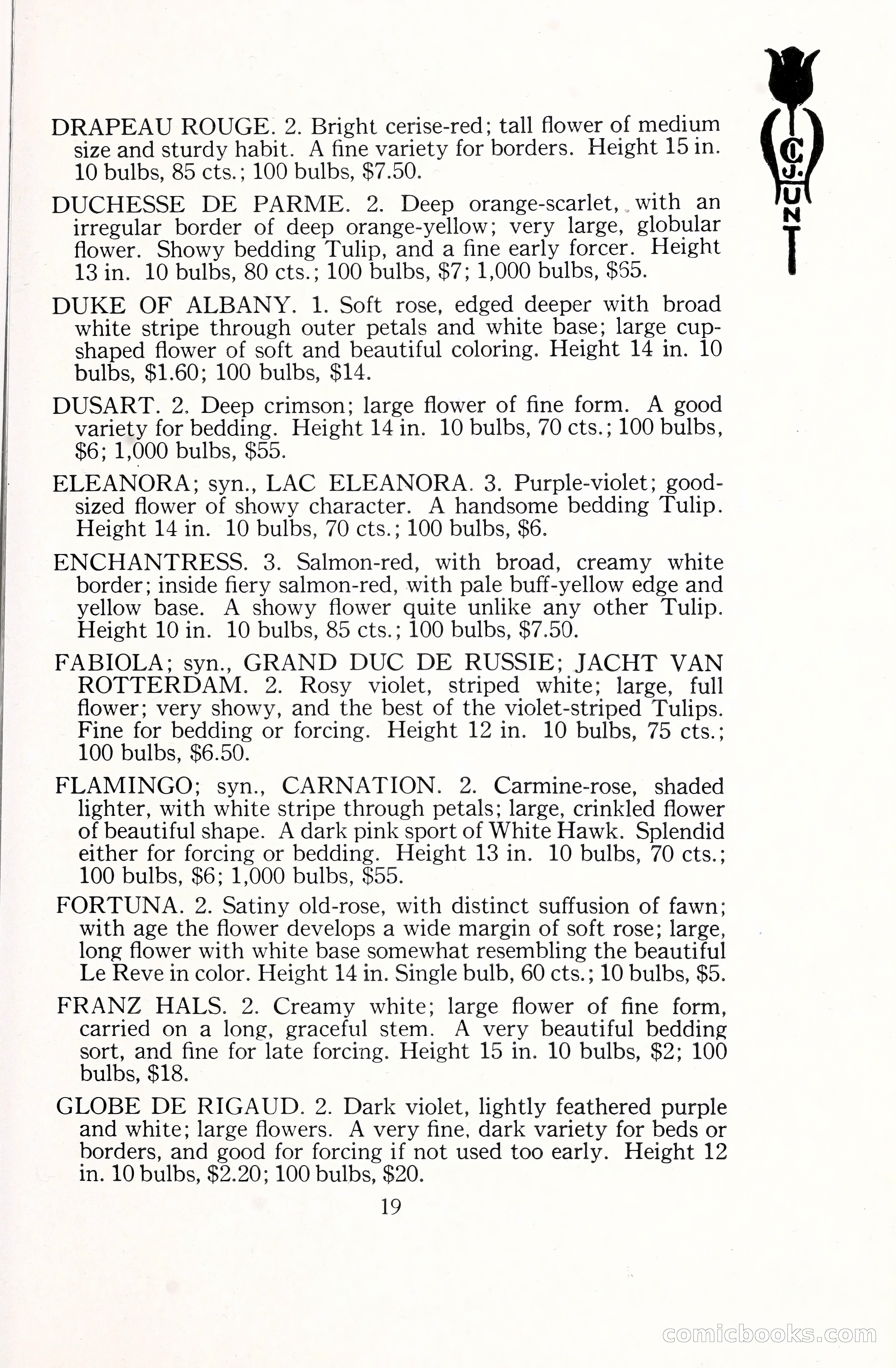 Blue Book of Bulbs, 1929 — page 28 of 128