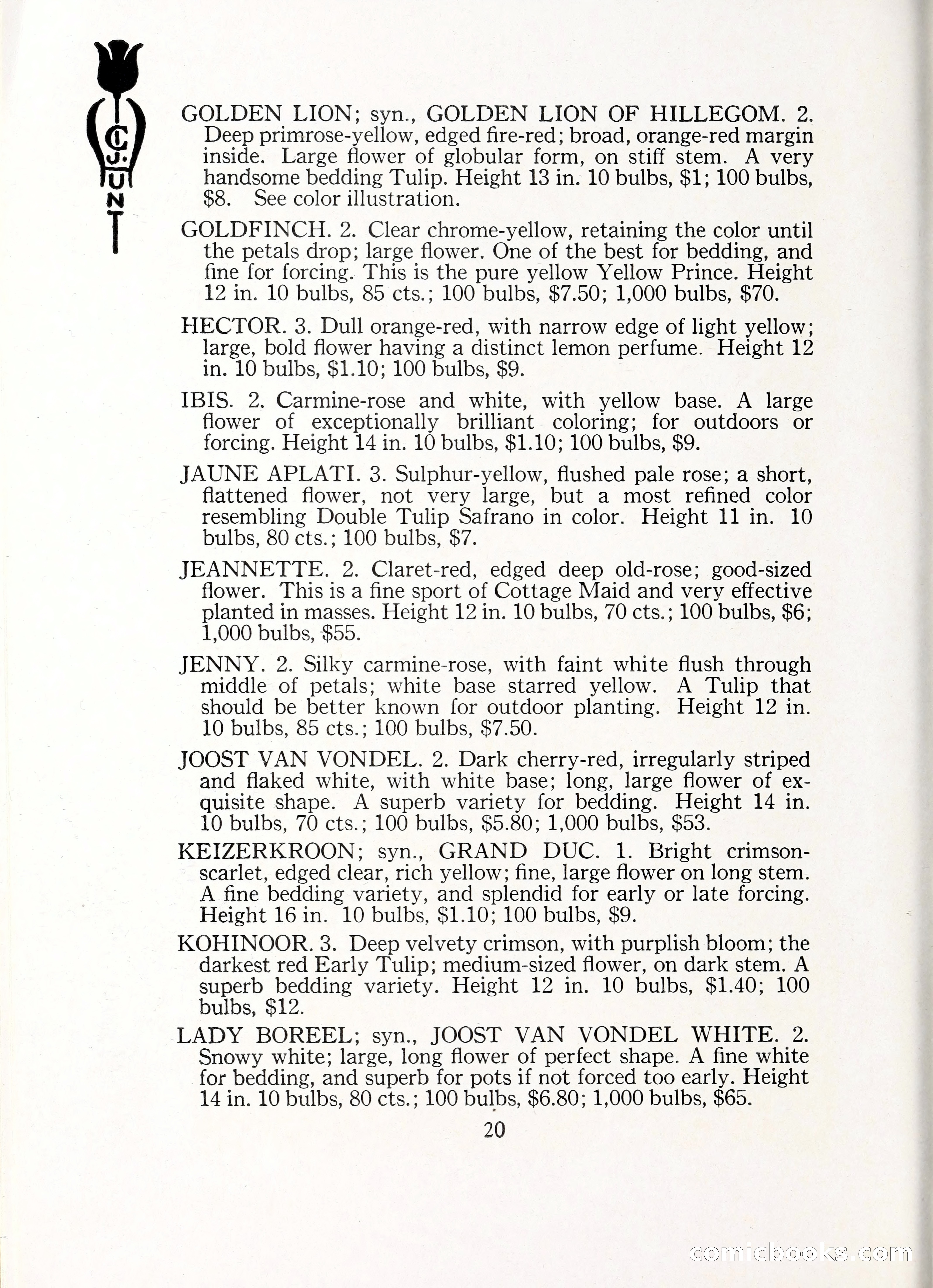 Blue Book of Bulbs, 1929 — page 29 of 128