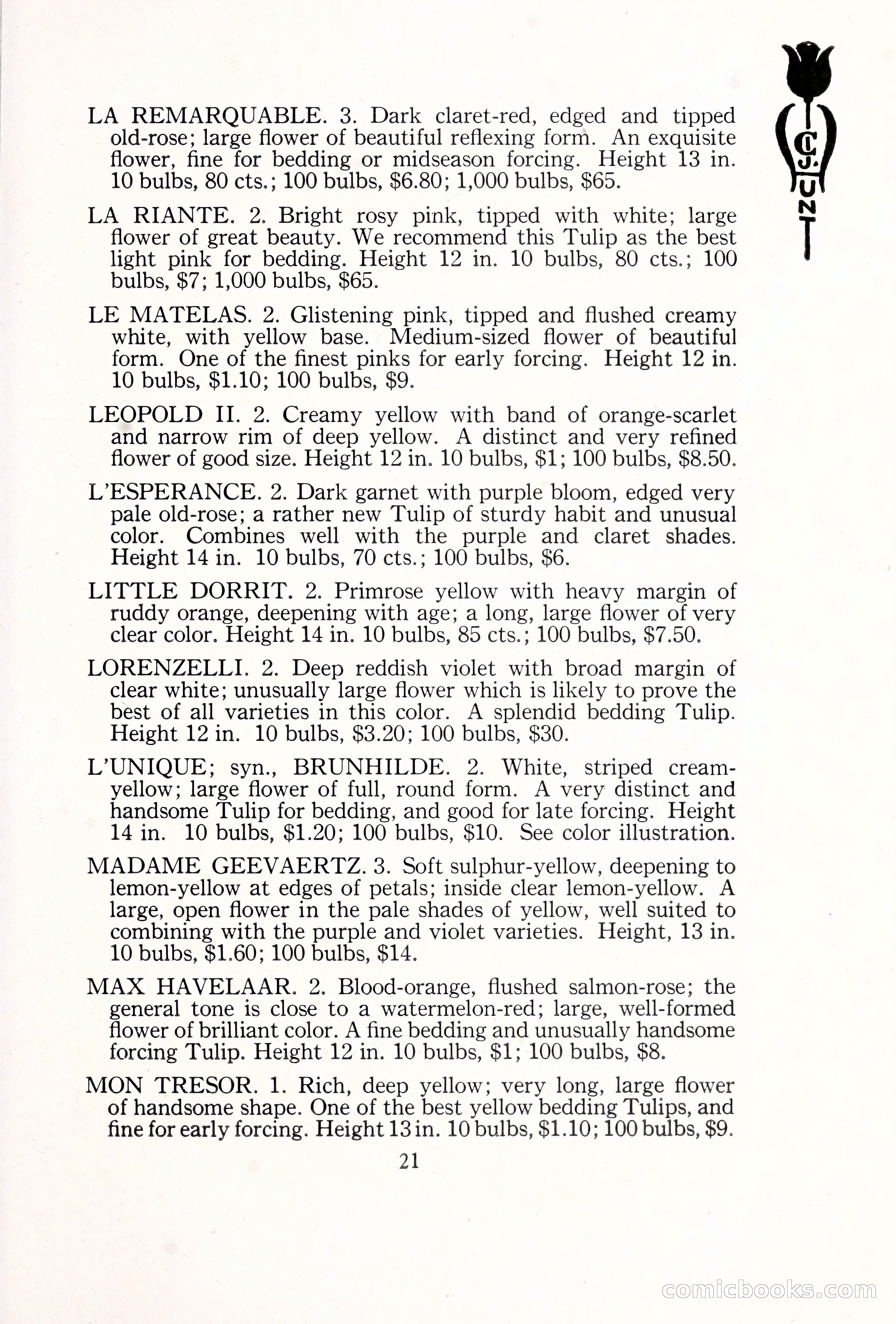 Blue Book of Bulbs, 1929 — page 32 of 128