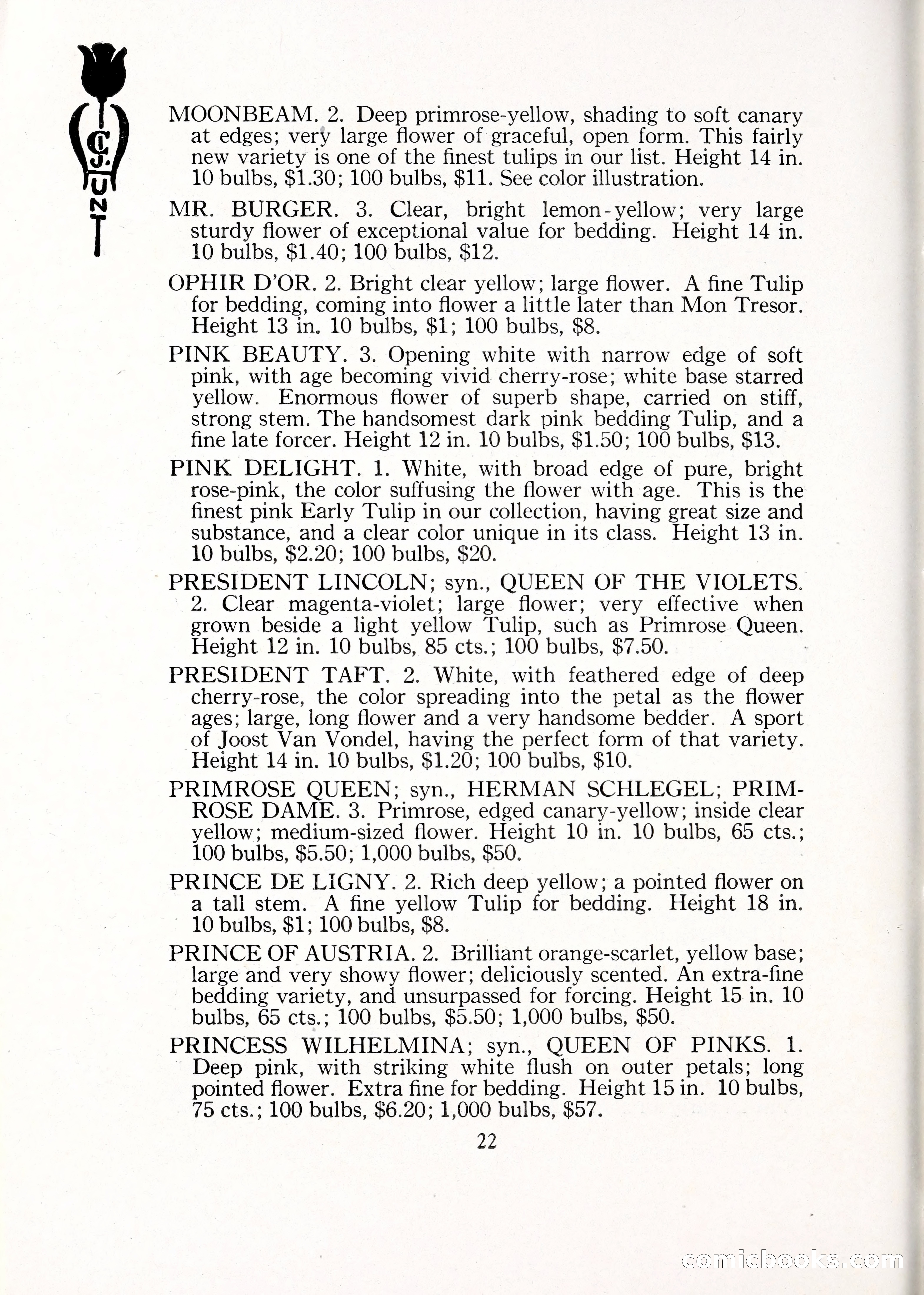 Blue Book of Bulbs, 1929 — page 33 of 128
