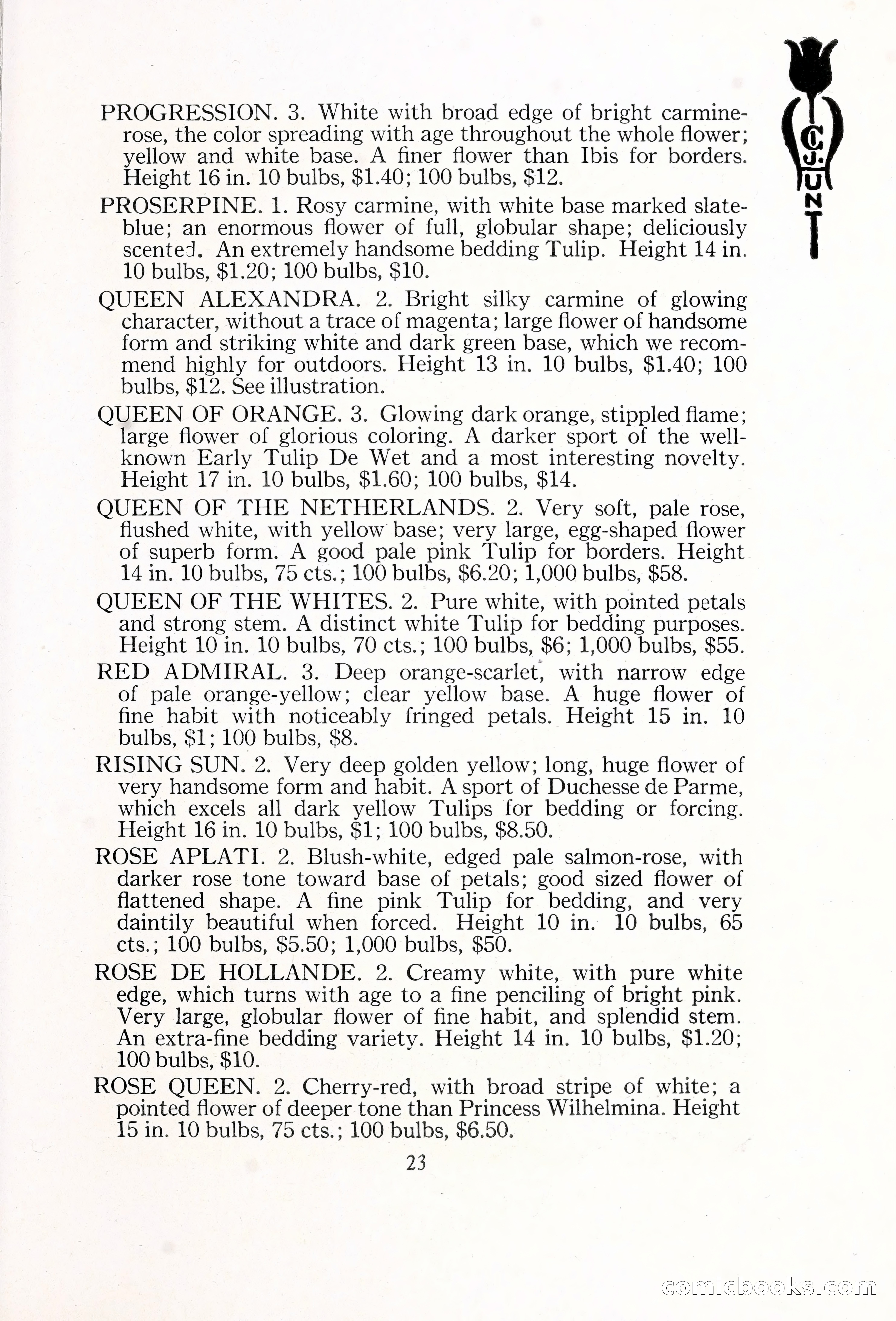 Blue Book of Bulbs, 1929 — page 36 of 128