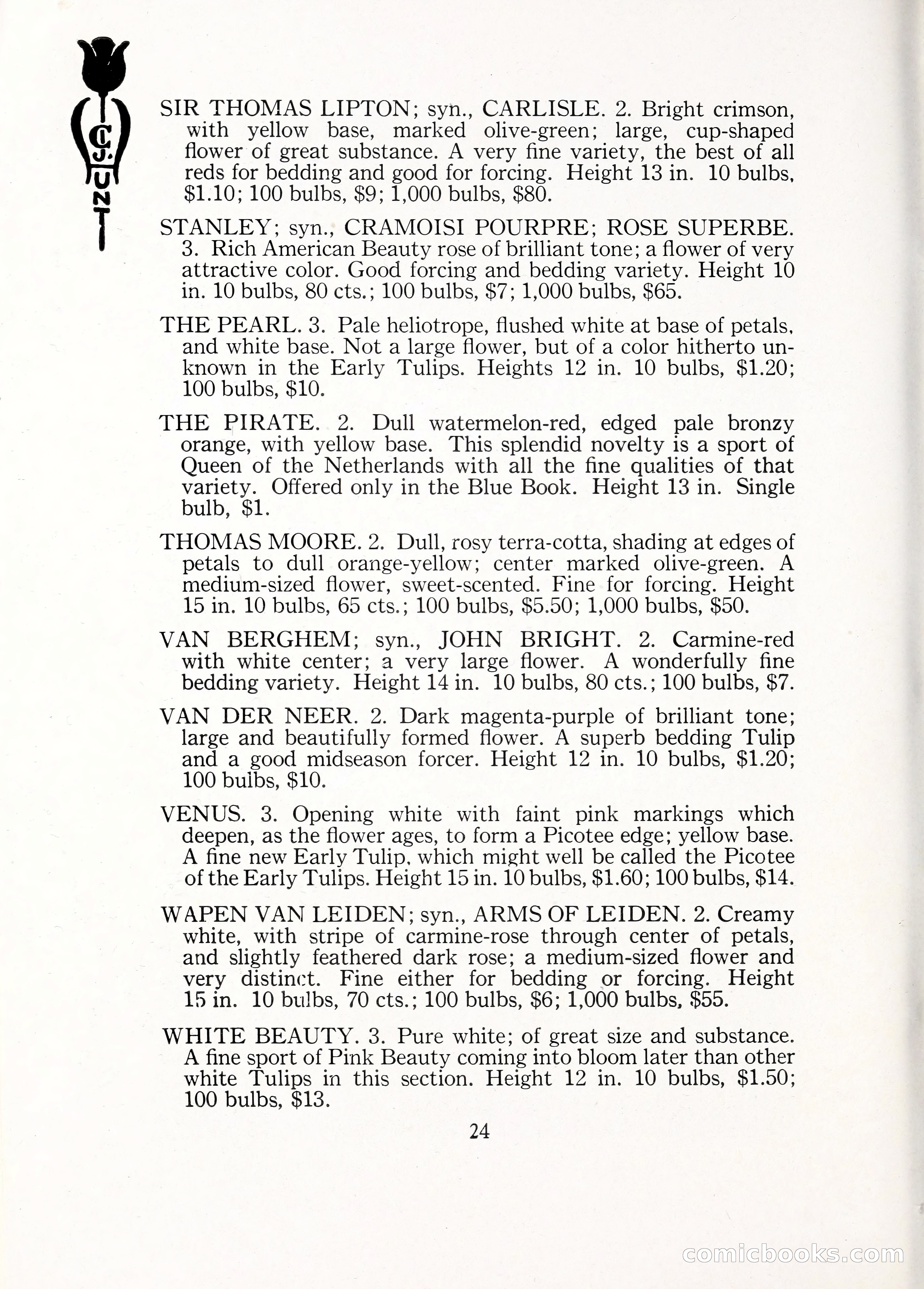 Blue Book of Bulbs, 1929 — page 37 of 128