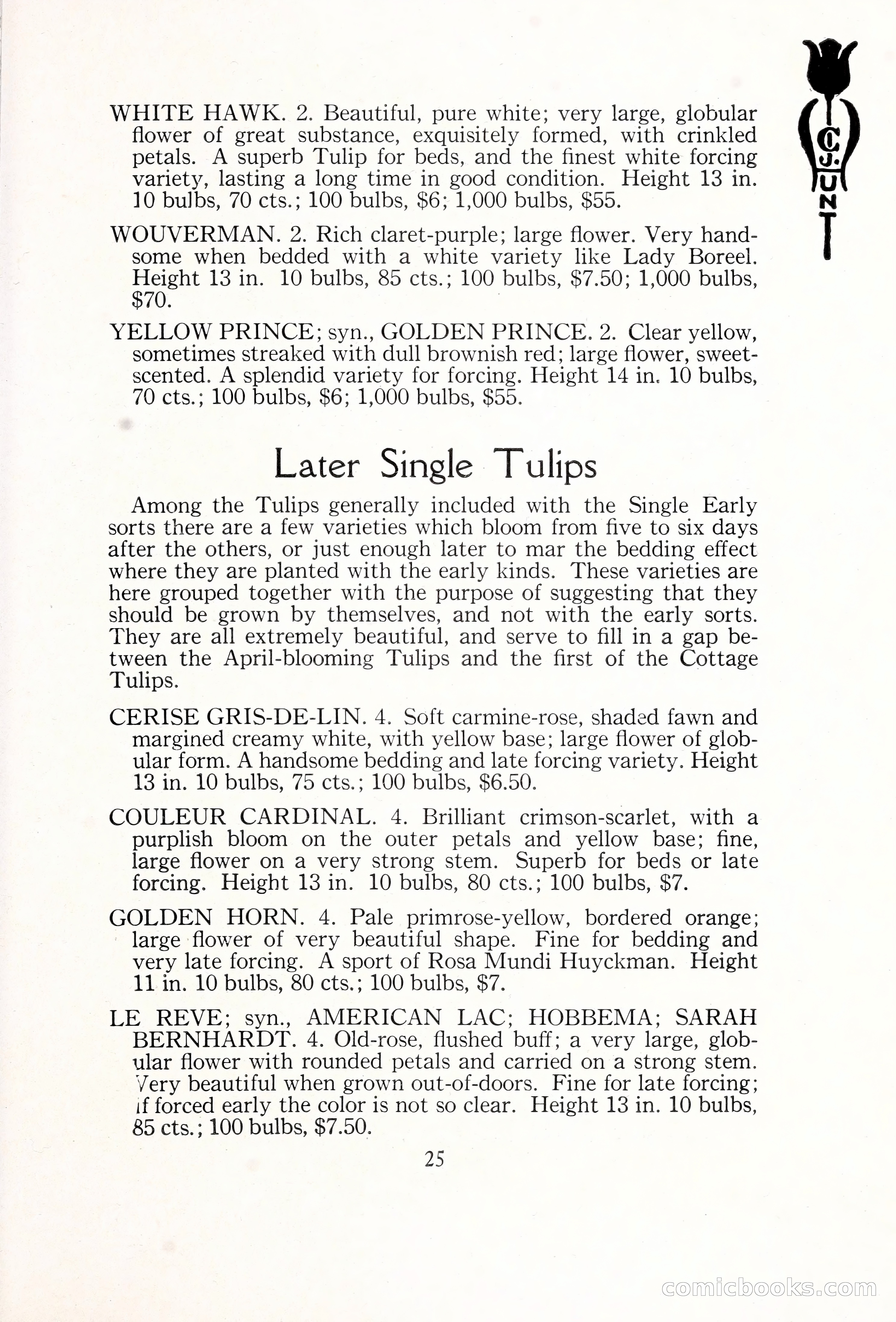 Blue Book of Bulbs, 1929 — page 38 of 128