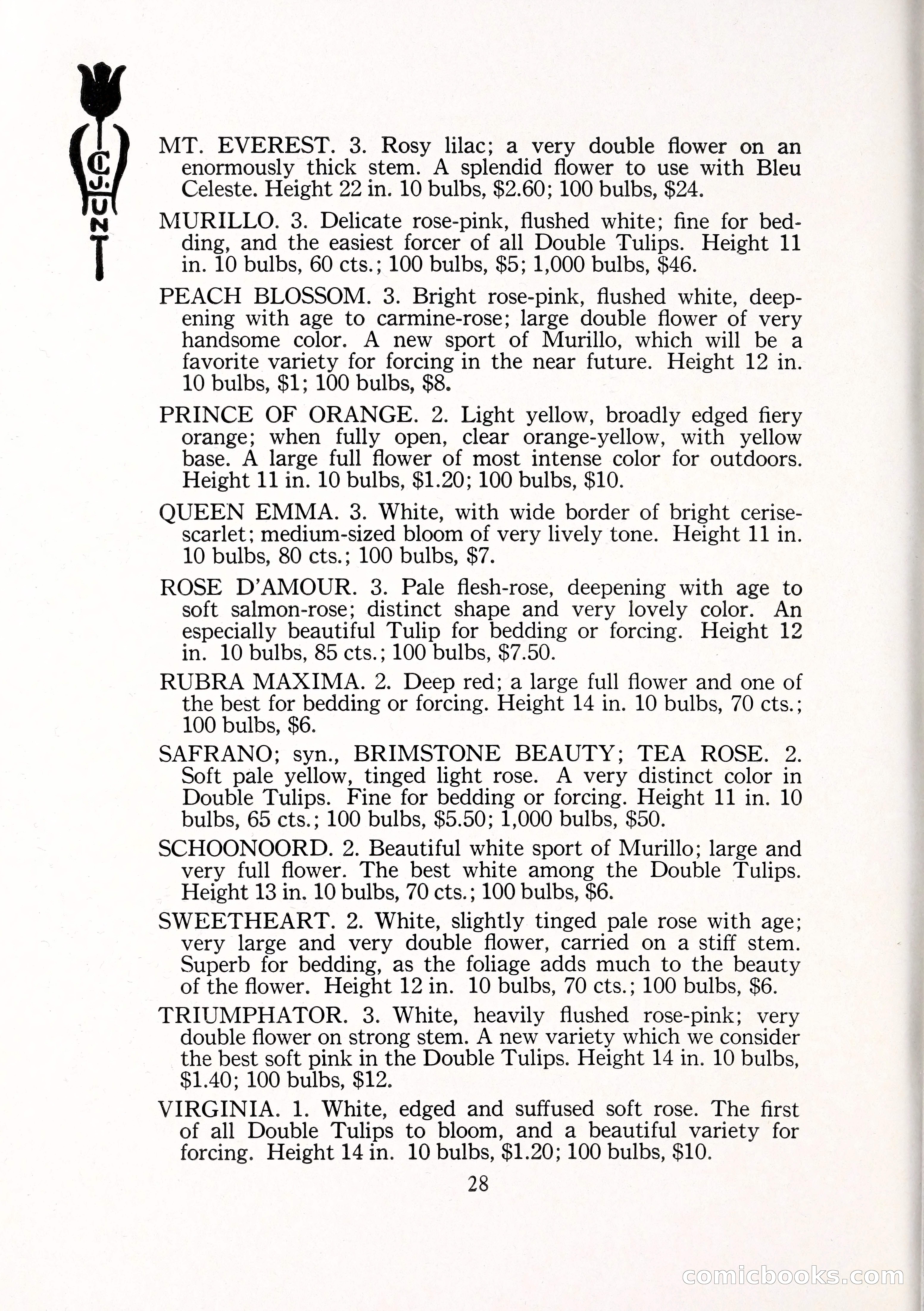 Blue Book of Bulbs, 1929 — page 41 of 128