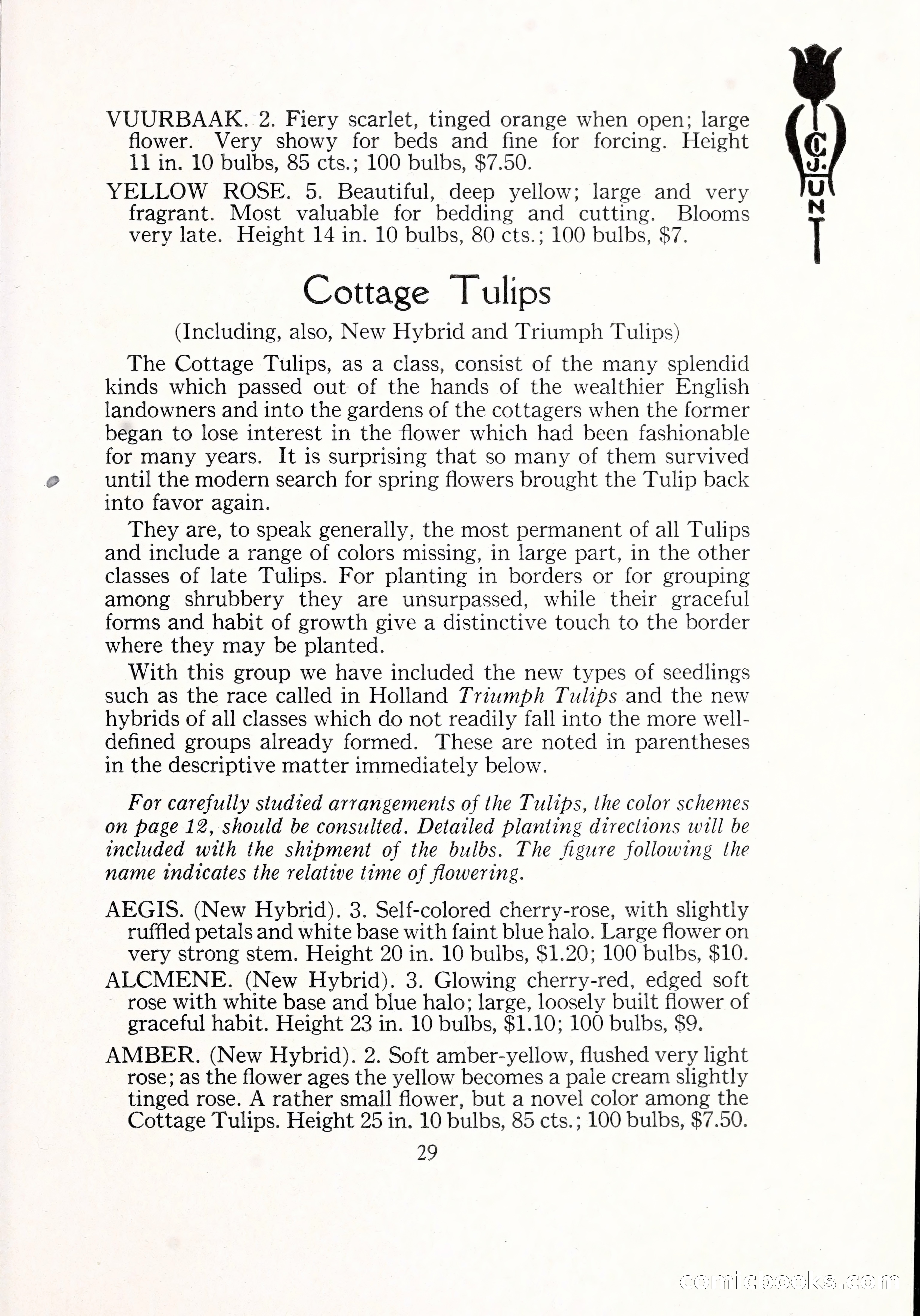 Blue Book of Bulbs, 1929 — page 42 of 128