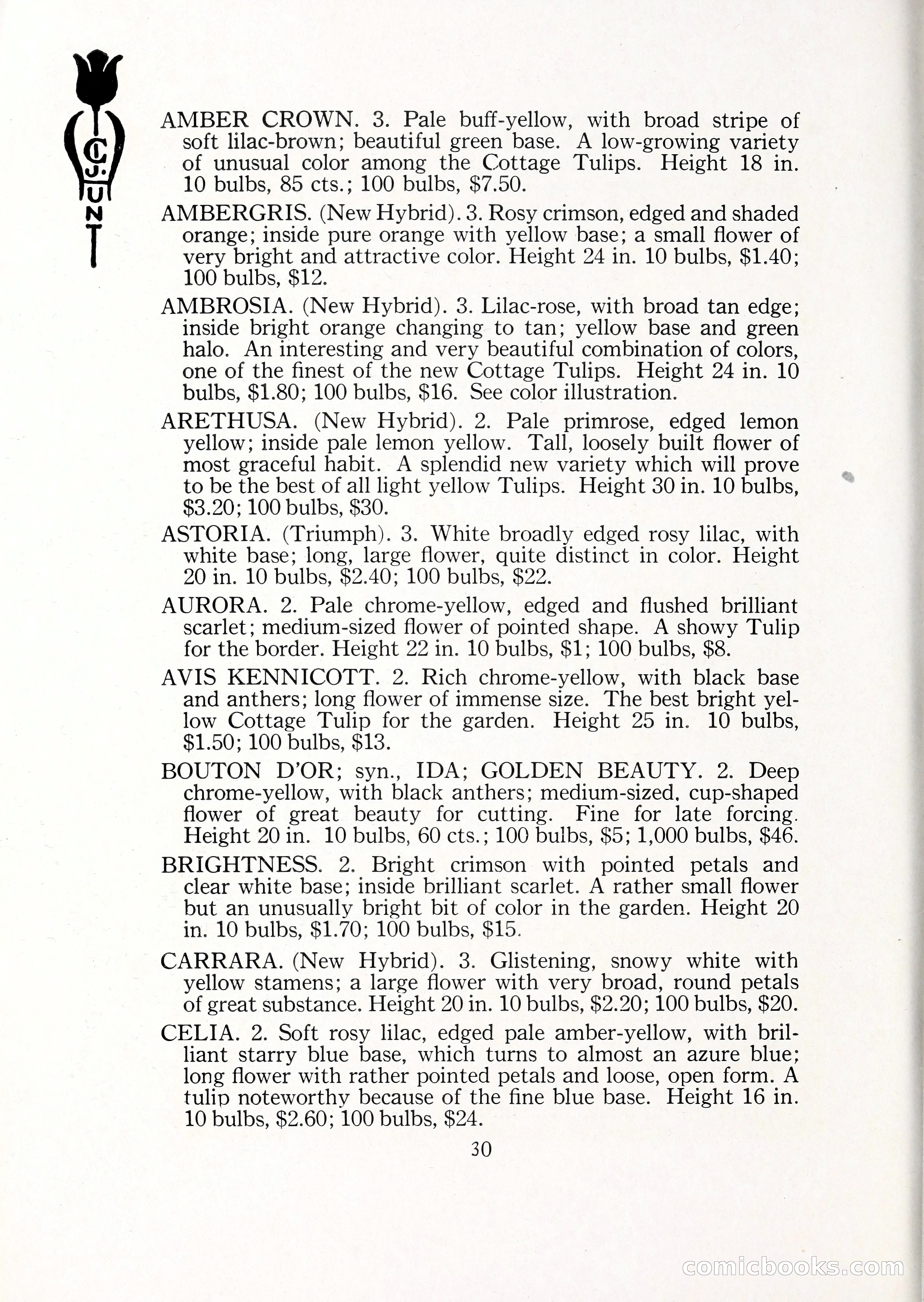 Blue Book of Bulbs, 1929 — page 43 of 128