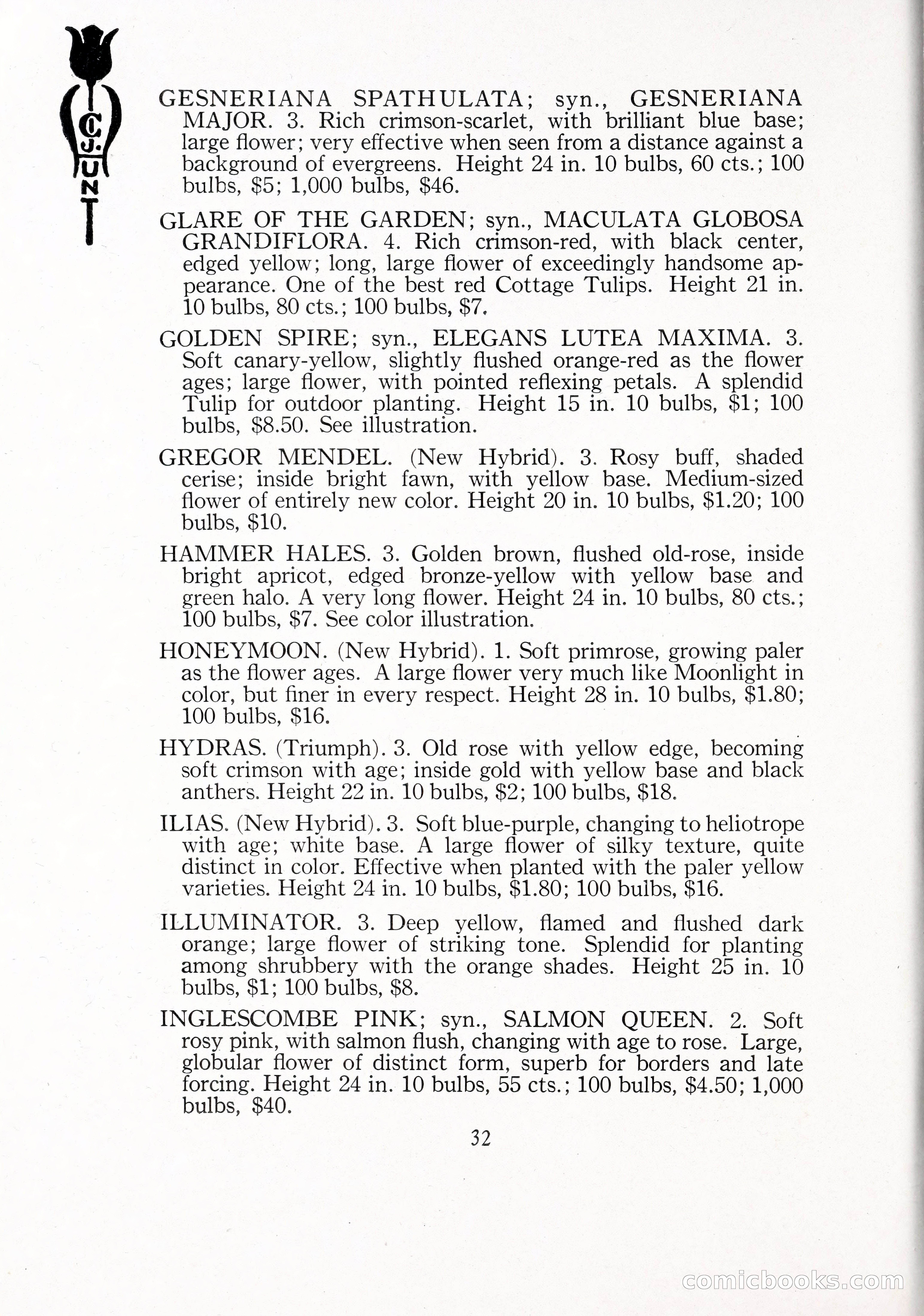 Blue Book of Bulbs, 1929 — page 47 of 128
