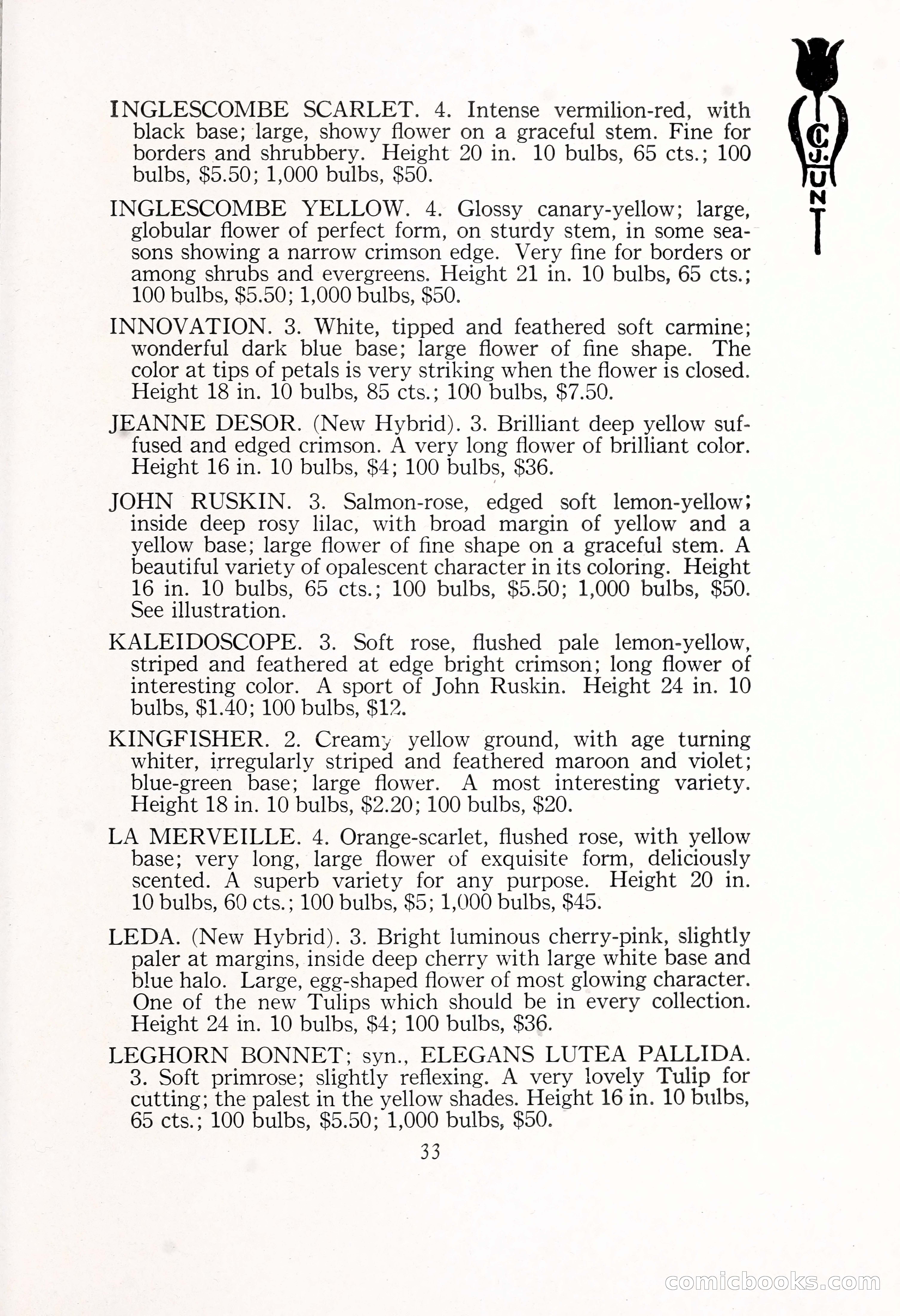 Blue Book of Bulbs, 1929 — page 50 of 128