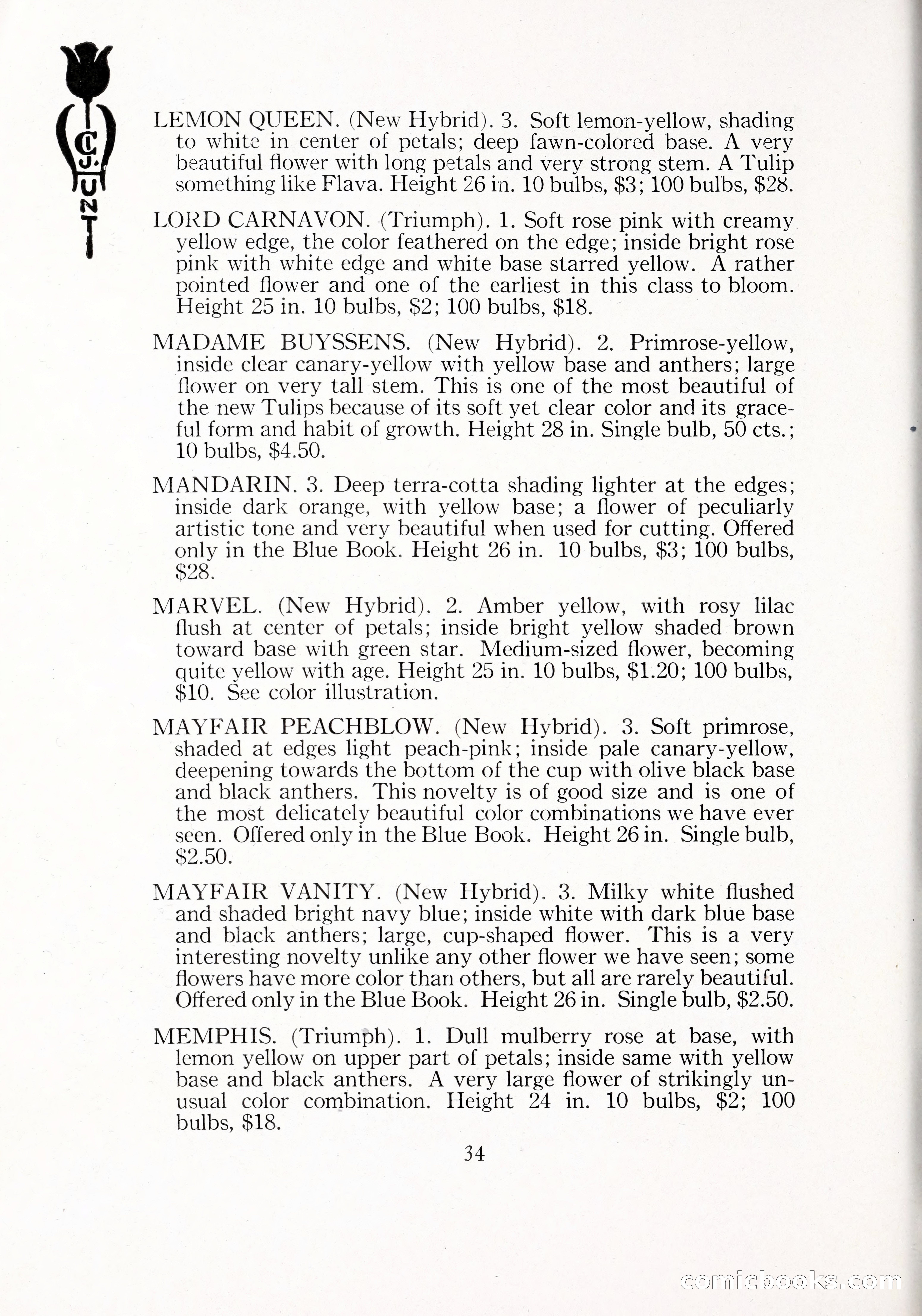 Blue Book of Bulbs, 1929 — page 51 of 128