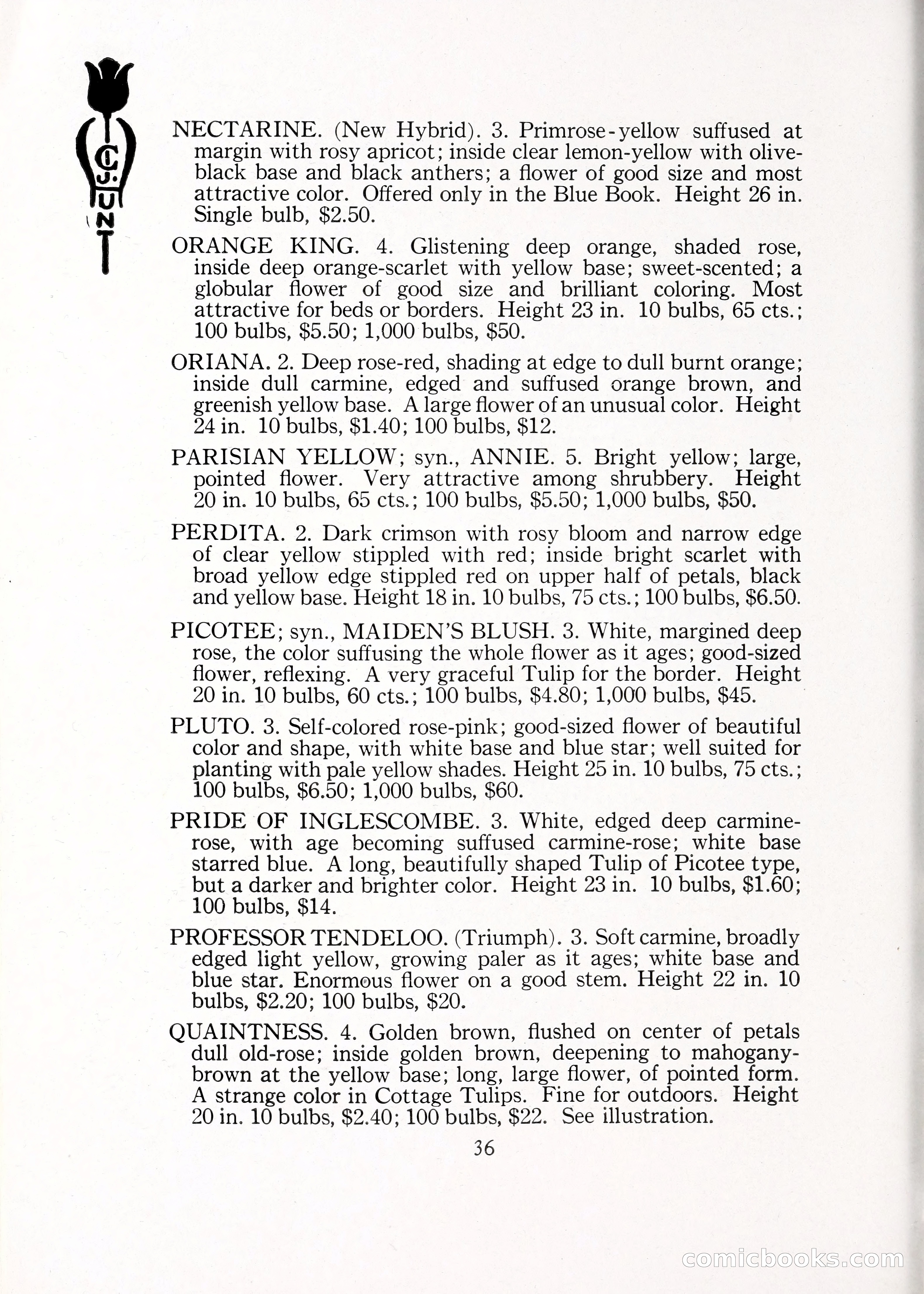 Blue Book of Bulbs, 1929 — page 53 of 128