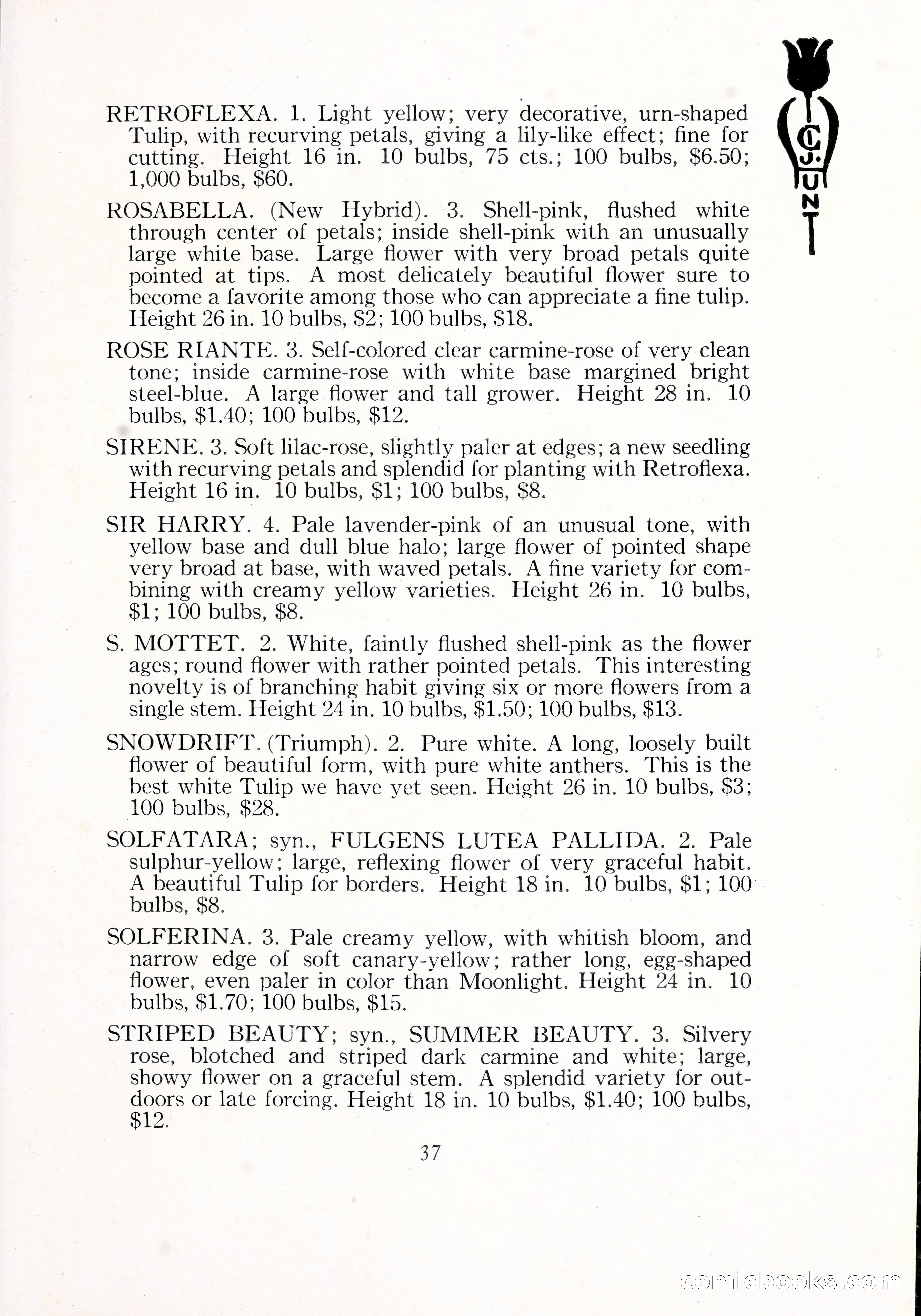 Blue Book of Bulbs, 1929 — page 56 of 128