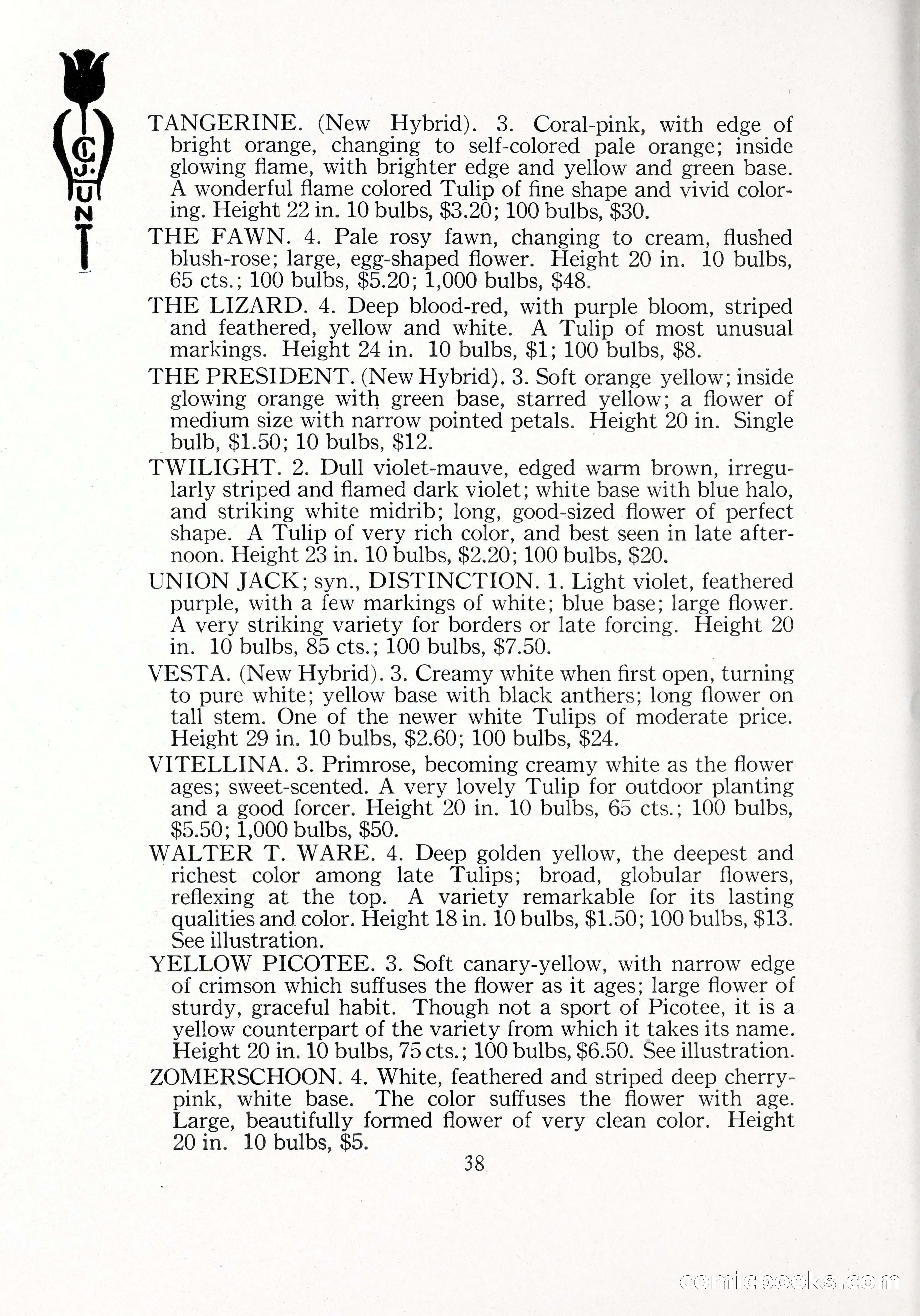Blue Book of Bulbs, 1929 — page 57 of 128
