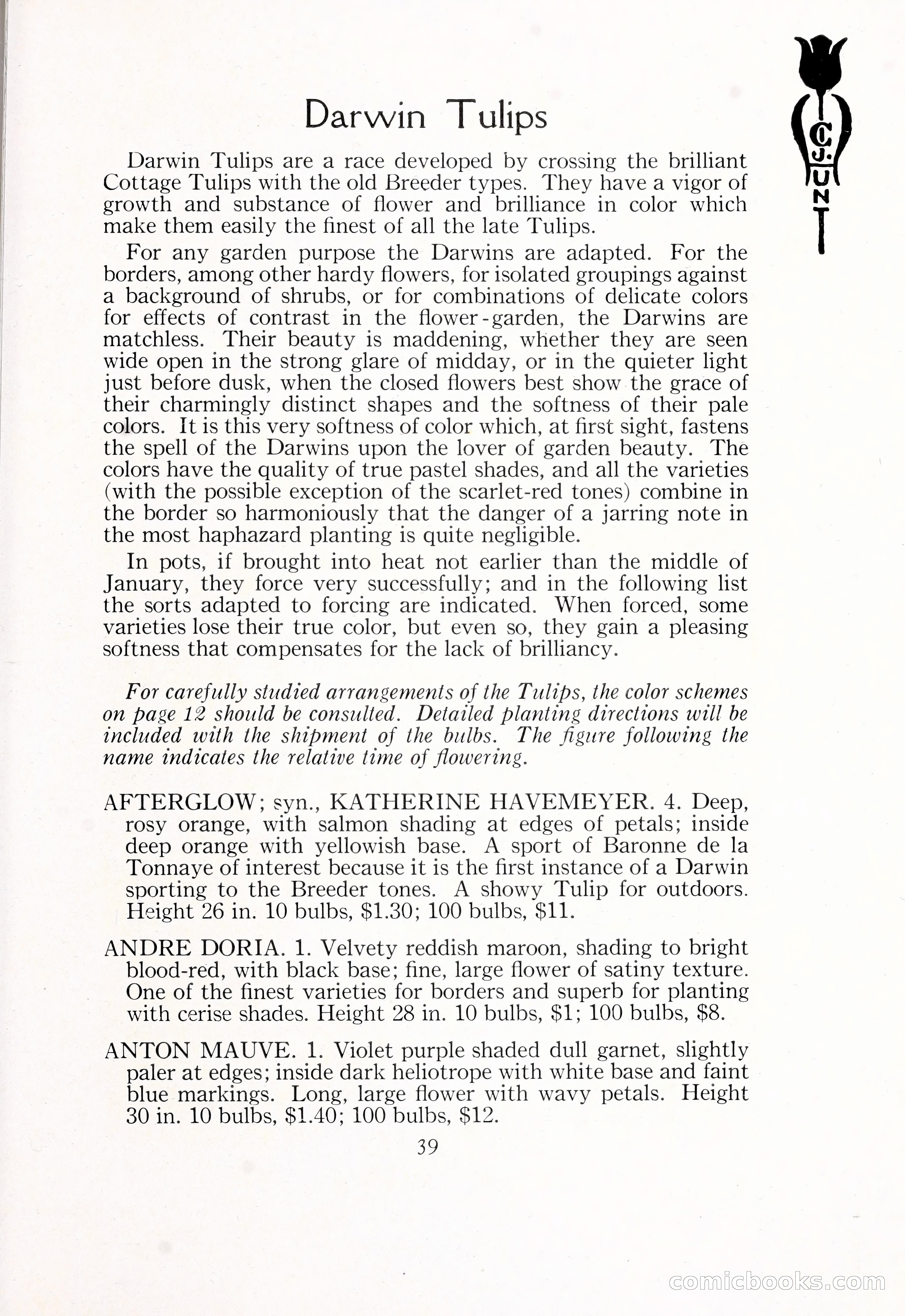 Blue Book of Bulbs, 1929 — page 60 of 128