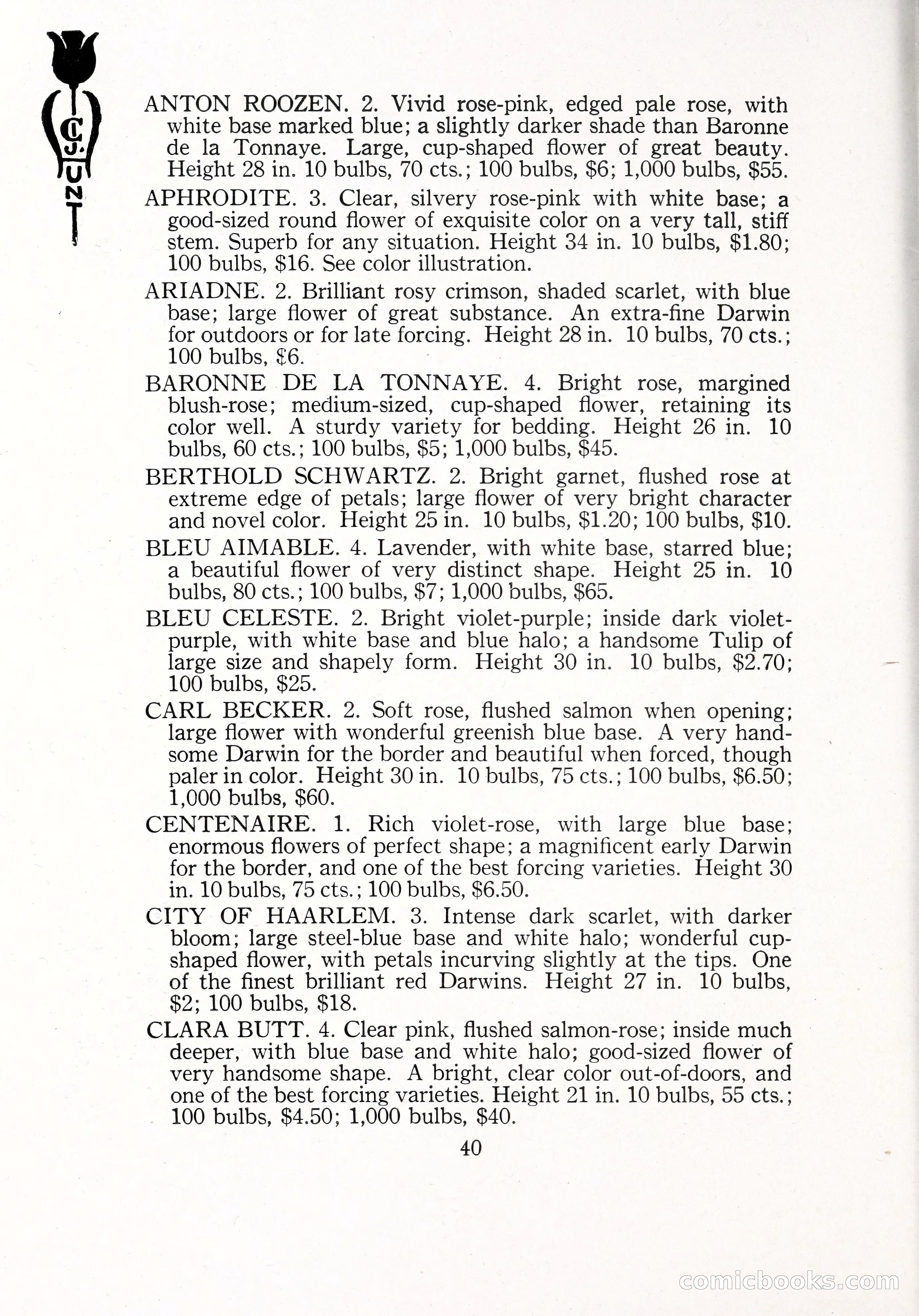 Blue Book of Bulbs, 1929 — page 61 of 128