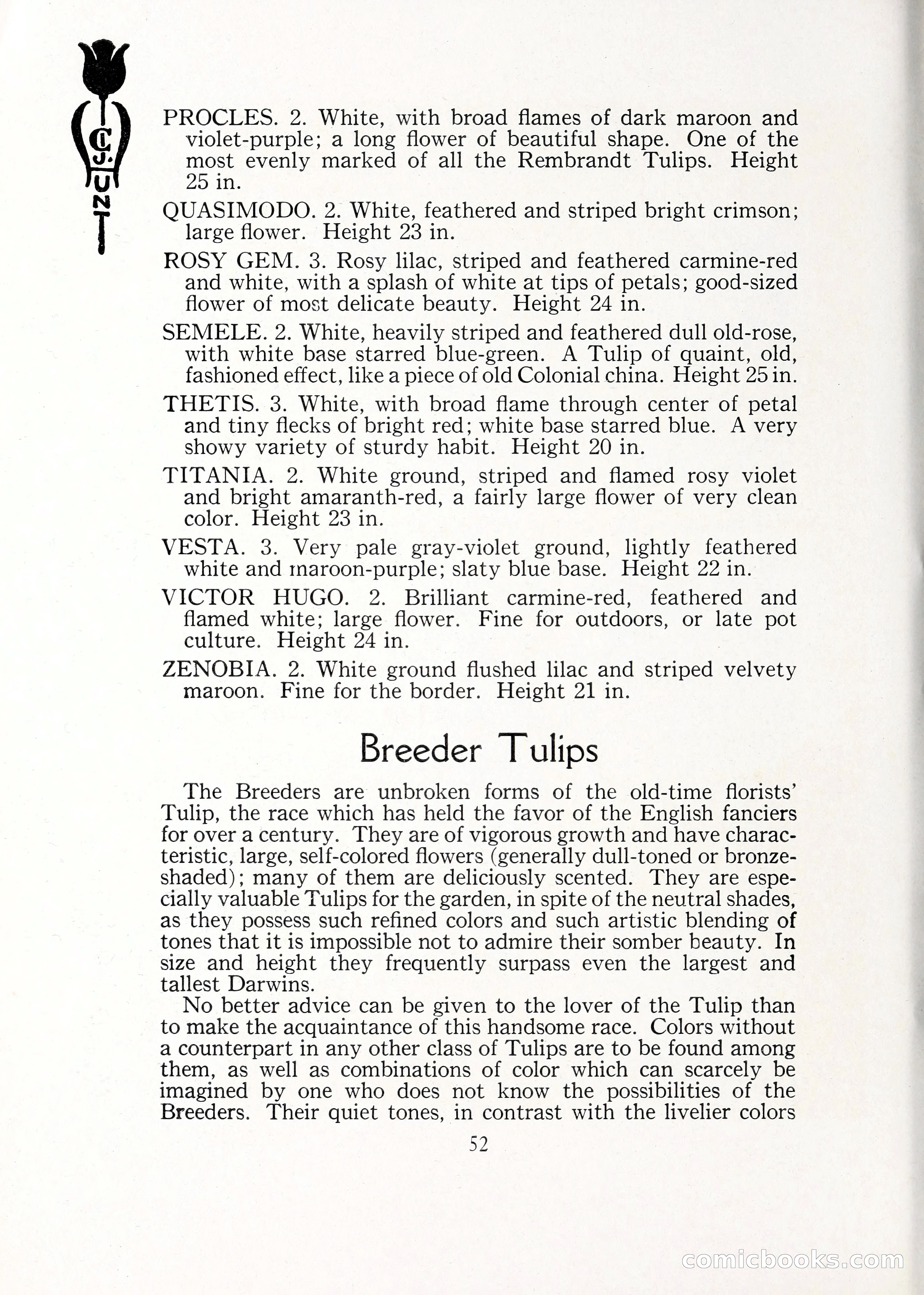 Blue Book of Bulbs, 1929 — page 75 of 128