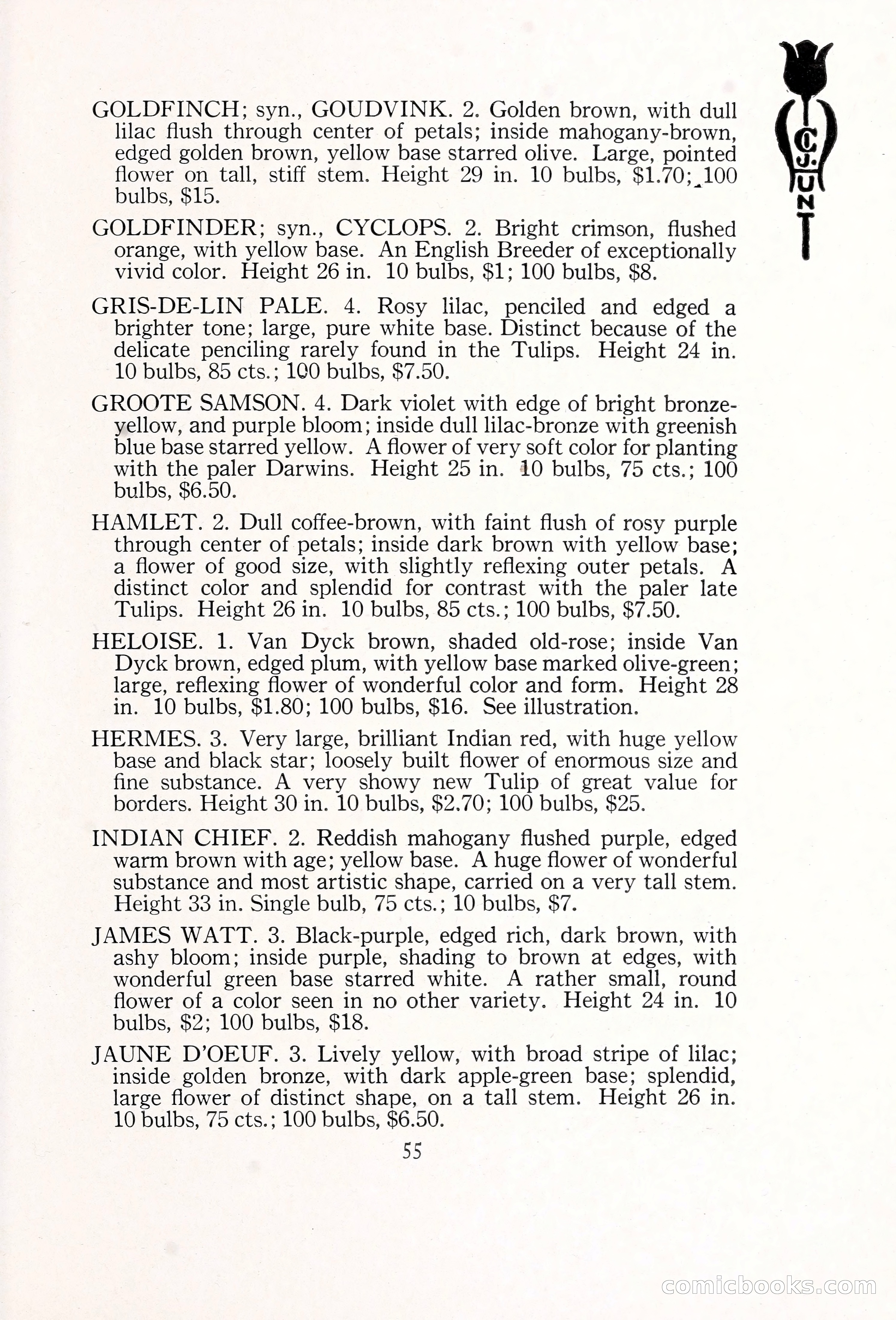 Blue Book of Bulbs, 1929 — page 82 of 128