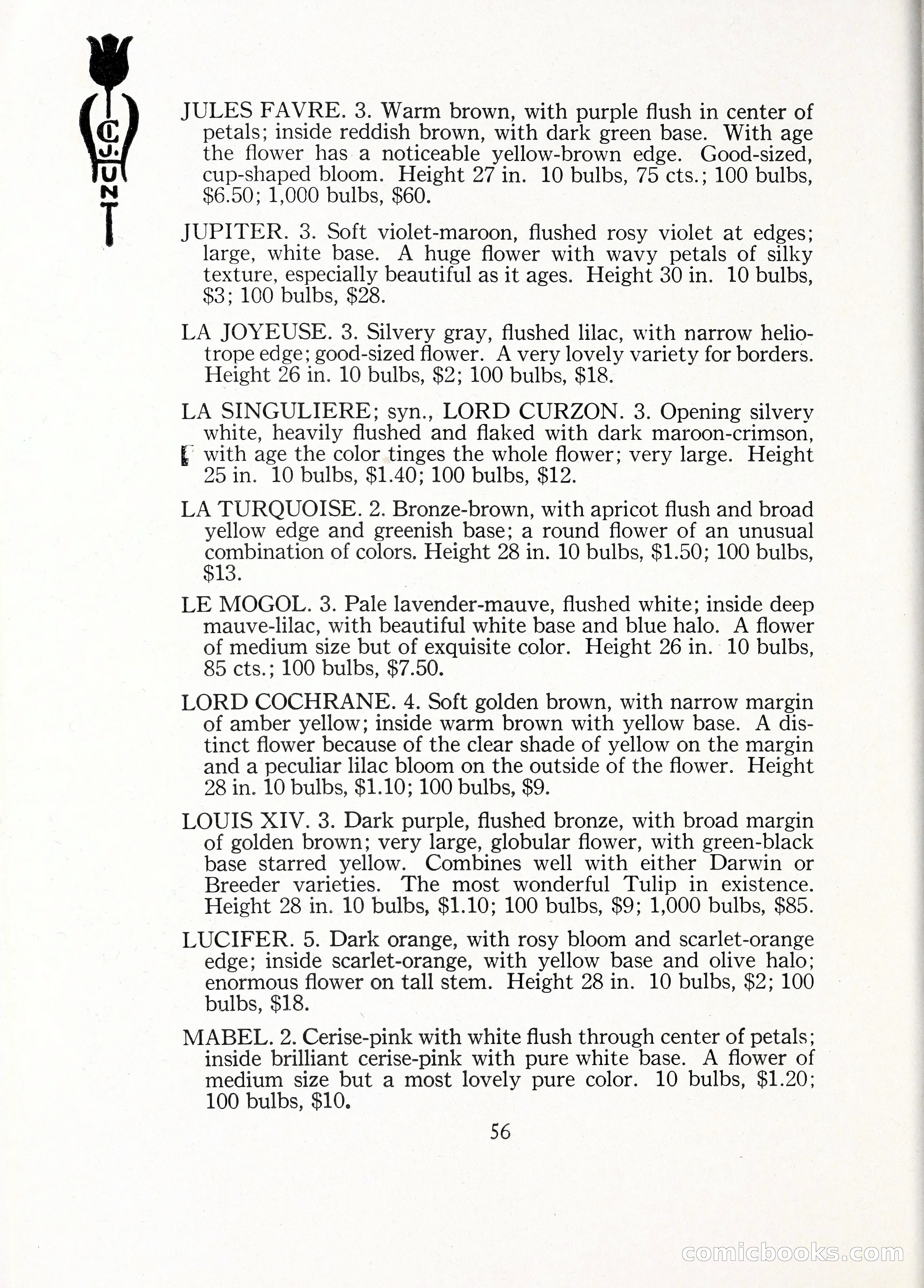 Blue Book of Bulbs, 1929 — page 83 of 128