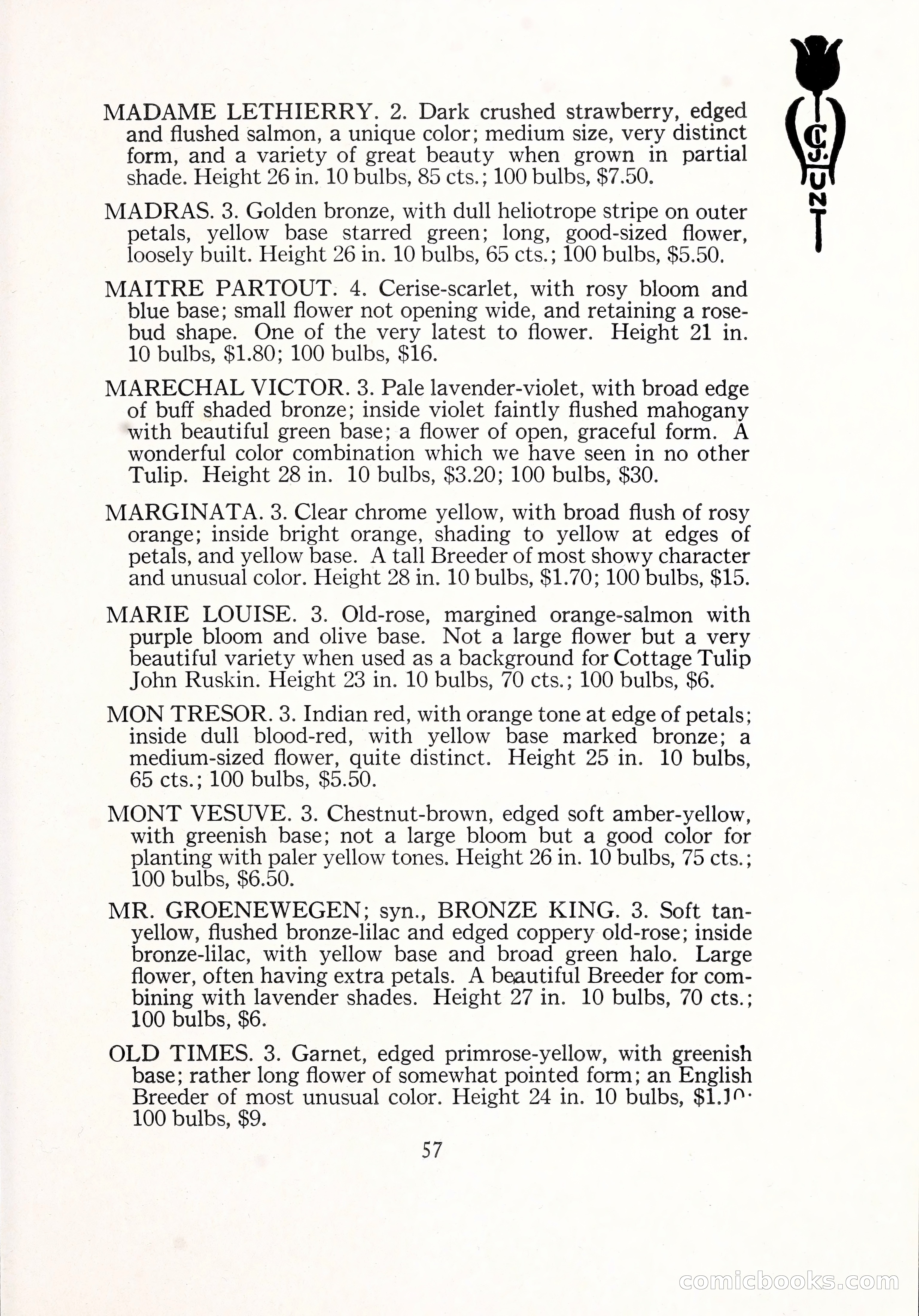 Blue Book of Bulbs, 1929 — page 84 of 128