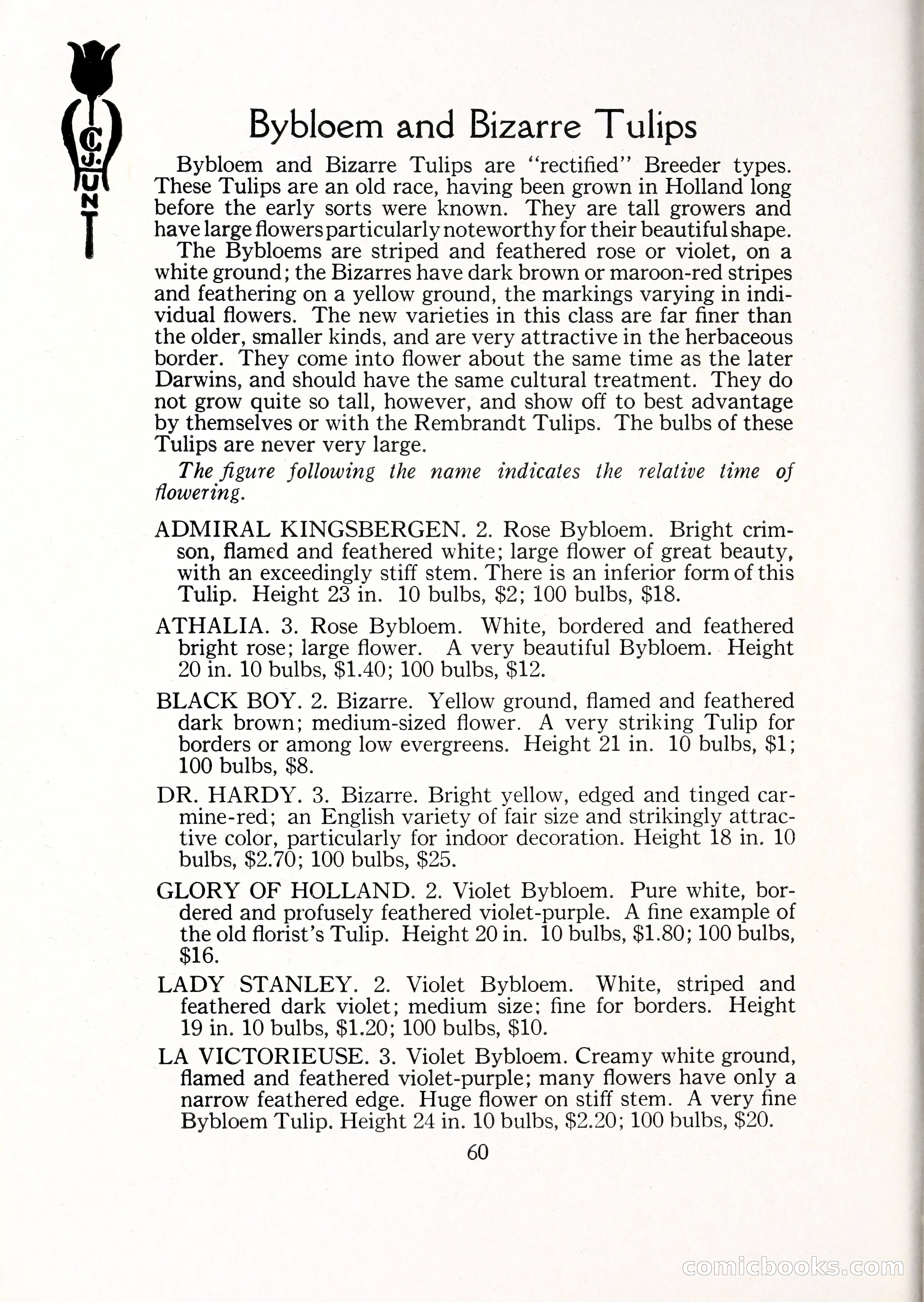 Blue Book of Bulbs, 1929 — page 87 of 128