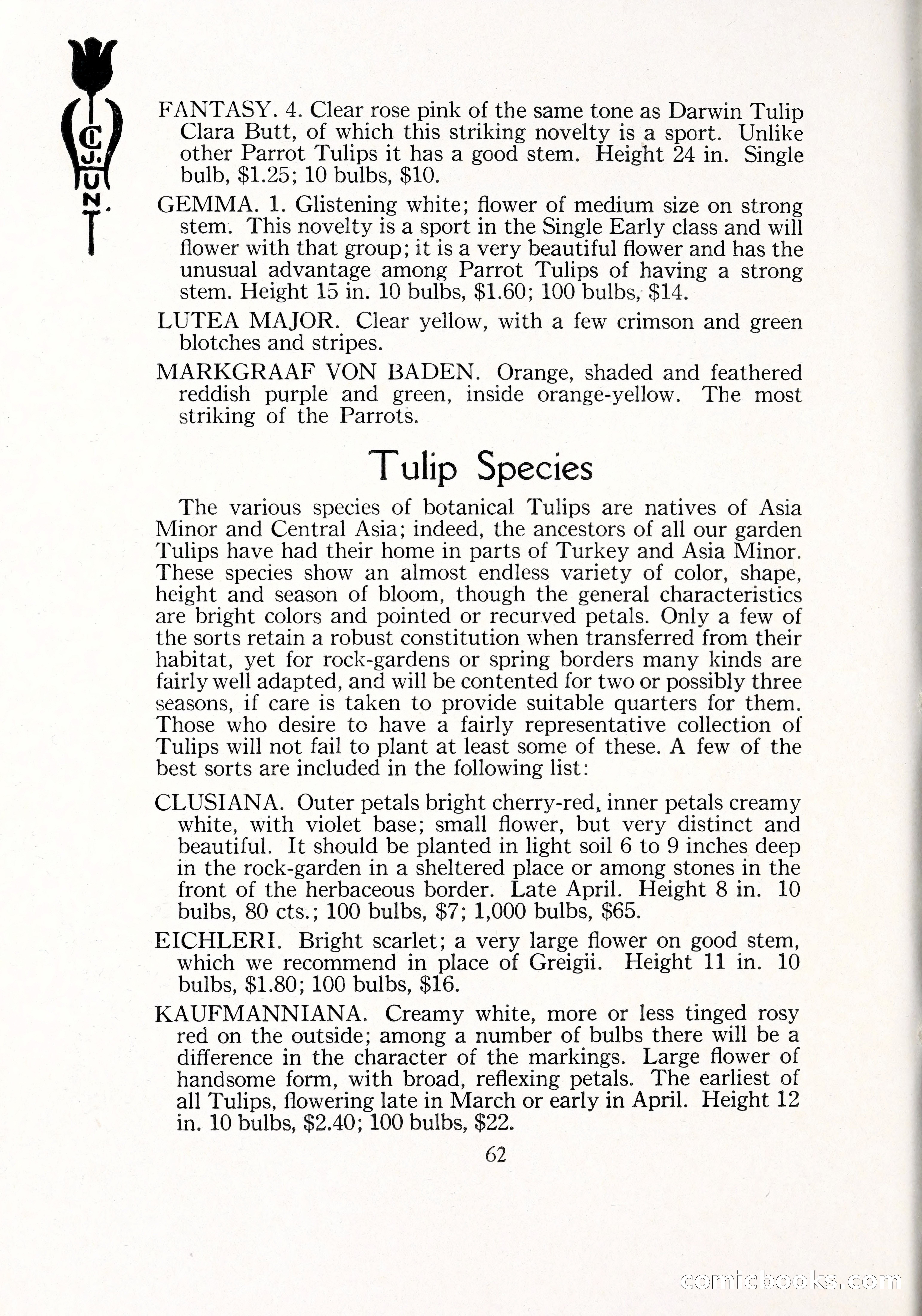 Blue Book of Bulbs, 1929 — page 89 of 128
