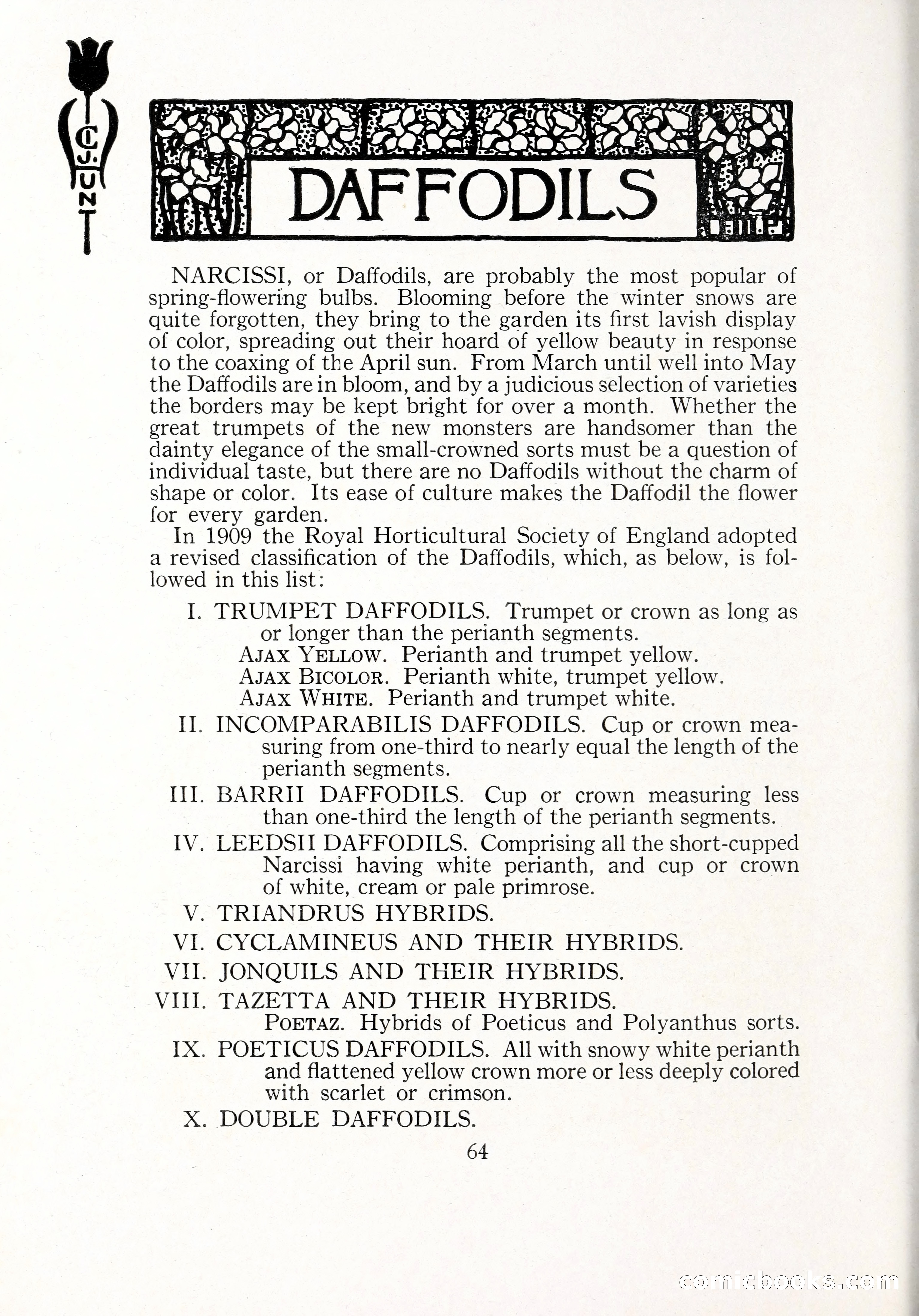 Blue Book of Bulbs, 1929 — page 91 of 128