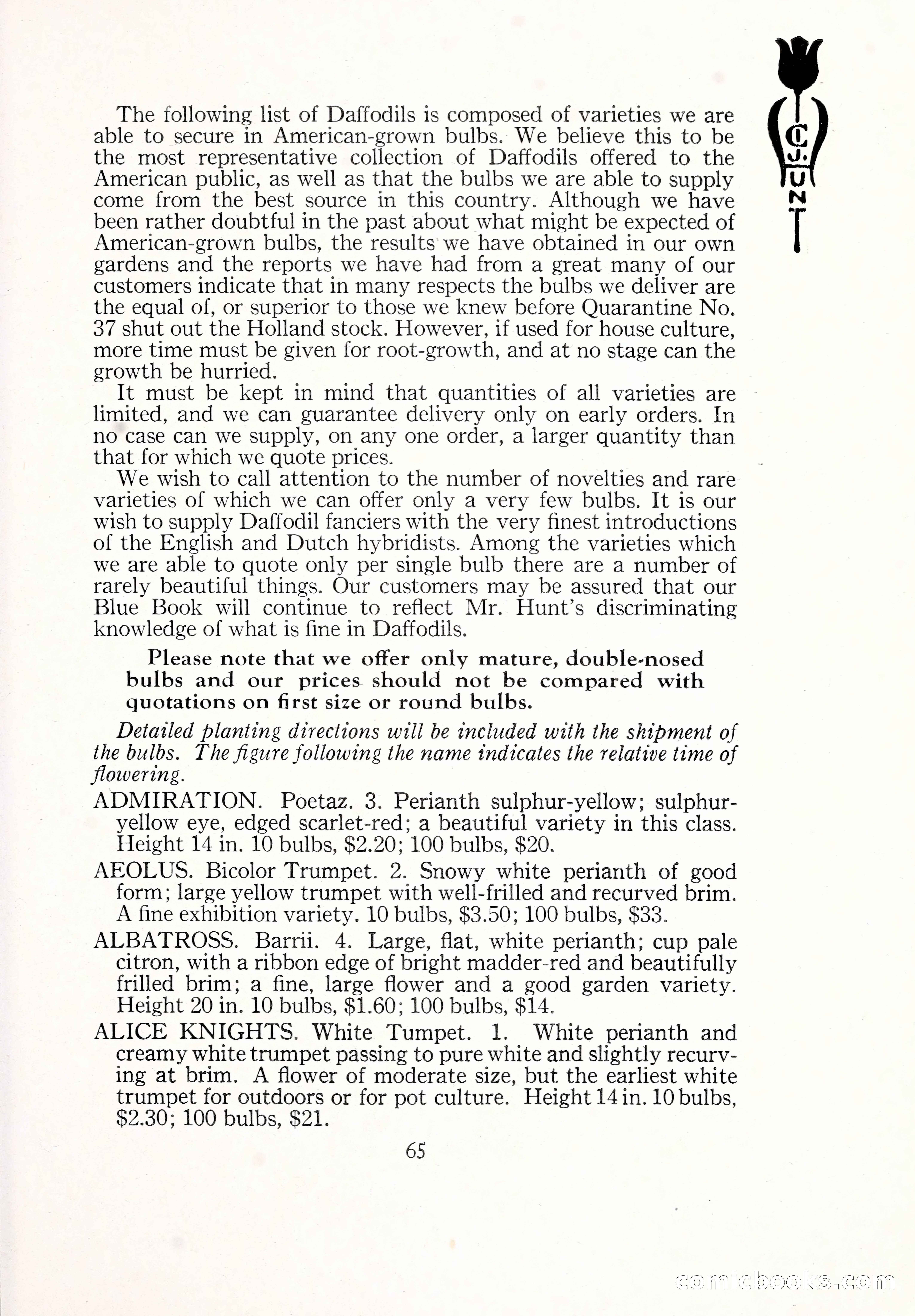 Blue Book of Bulbs, 1929 — page 94 of 128