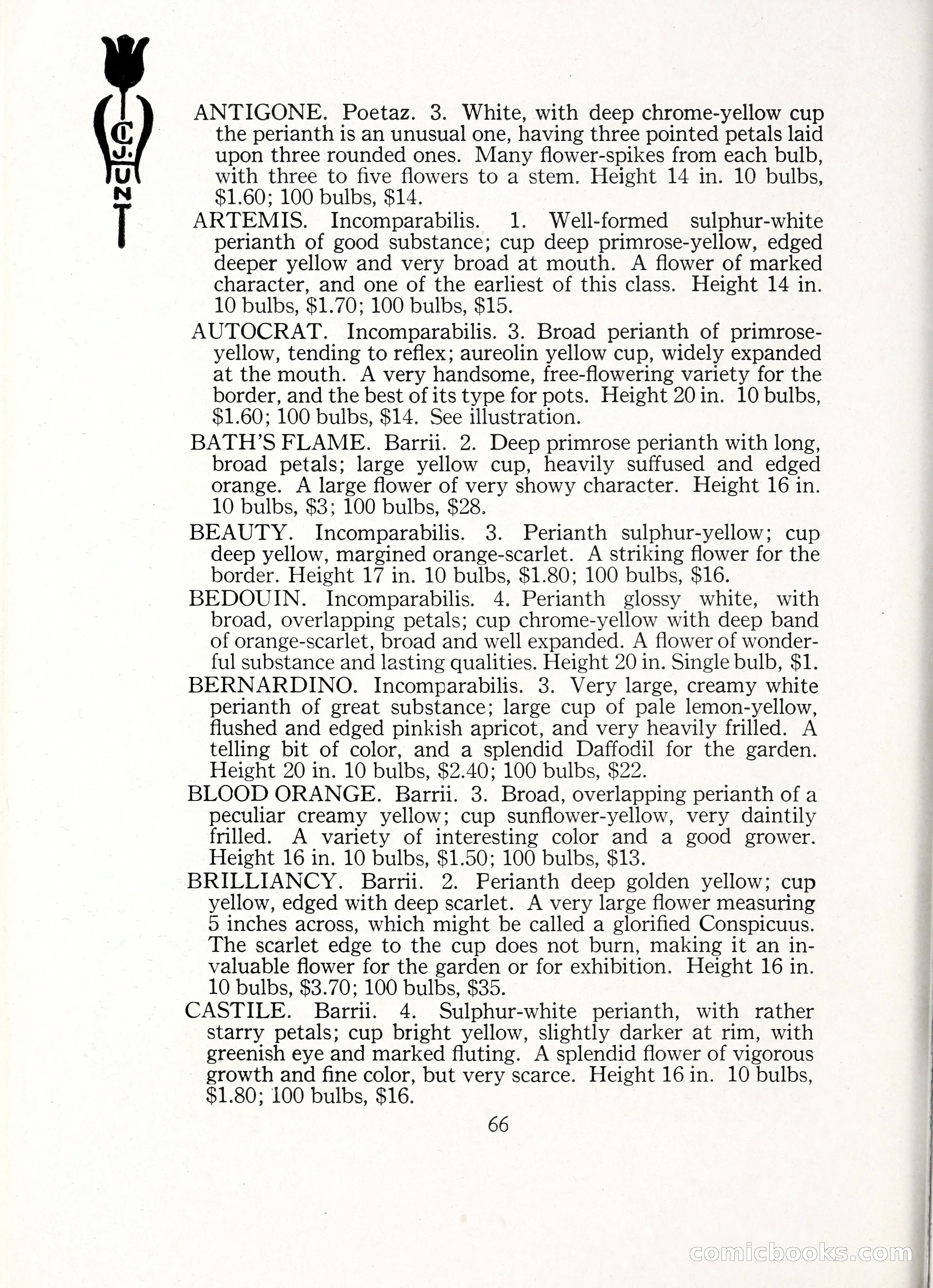 Blue Book of Bulbs, 1929 — page 95 of 128
