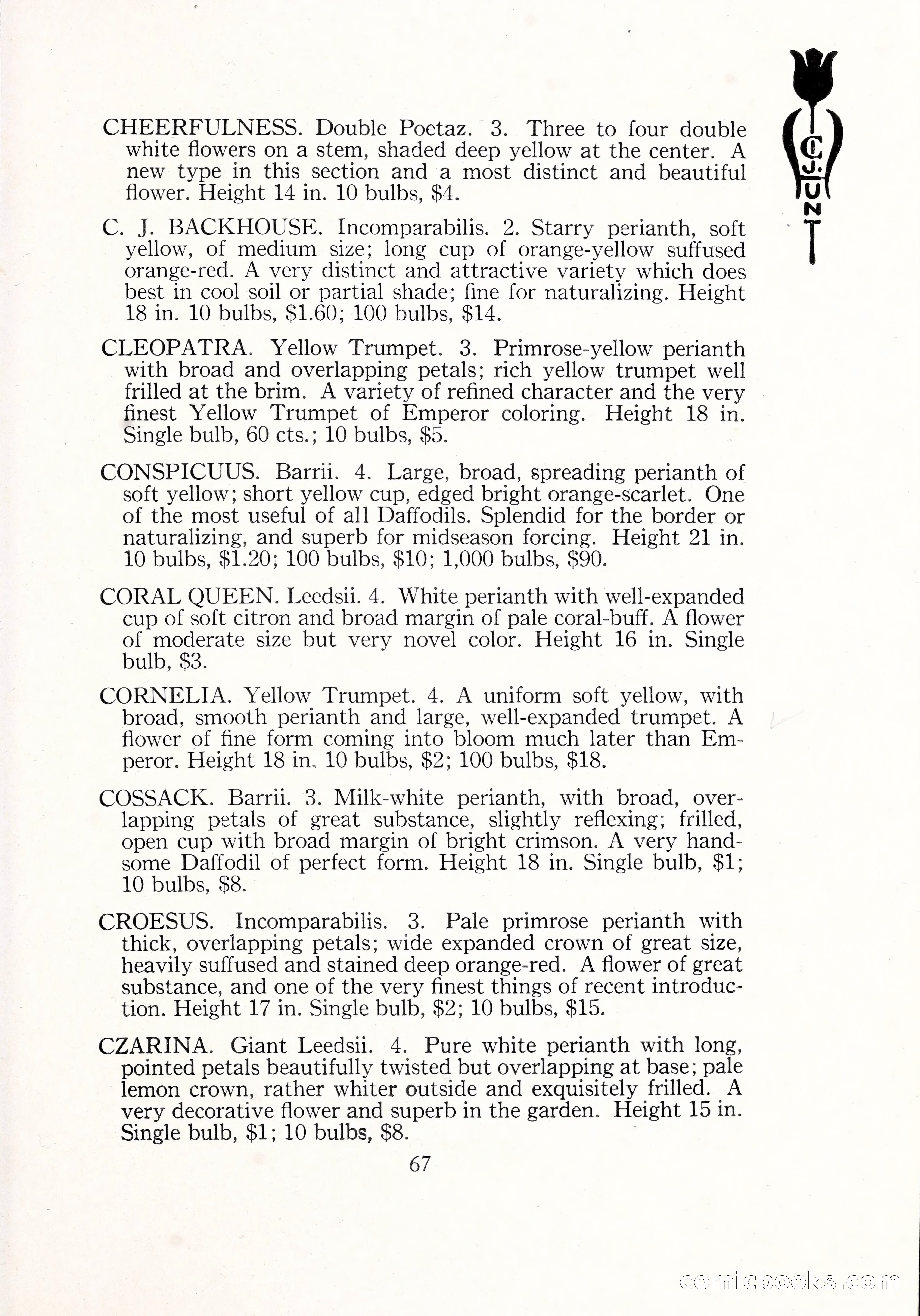 Blue Book of Bulbs, 1929 — page 98 of 128