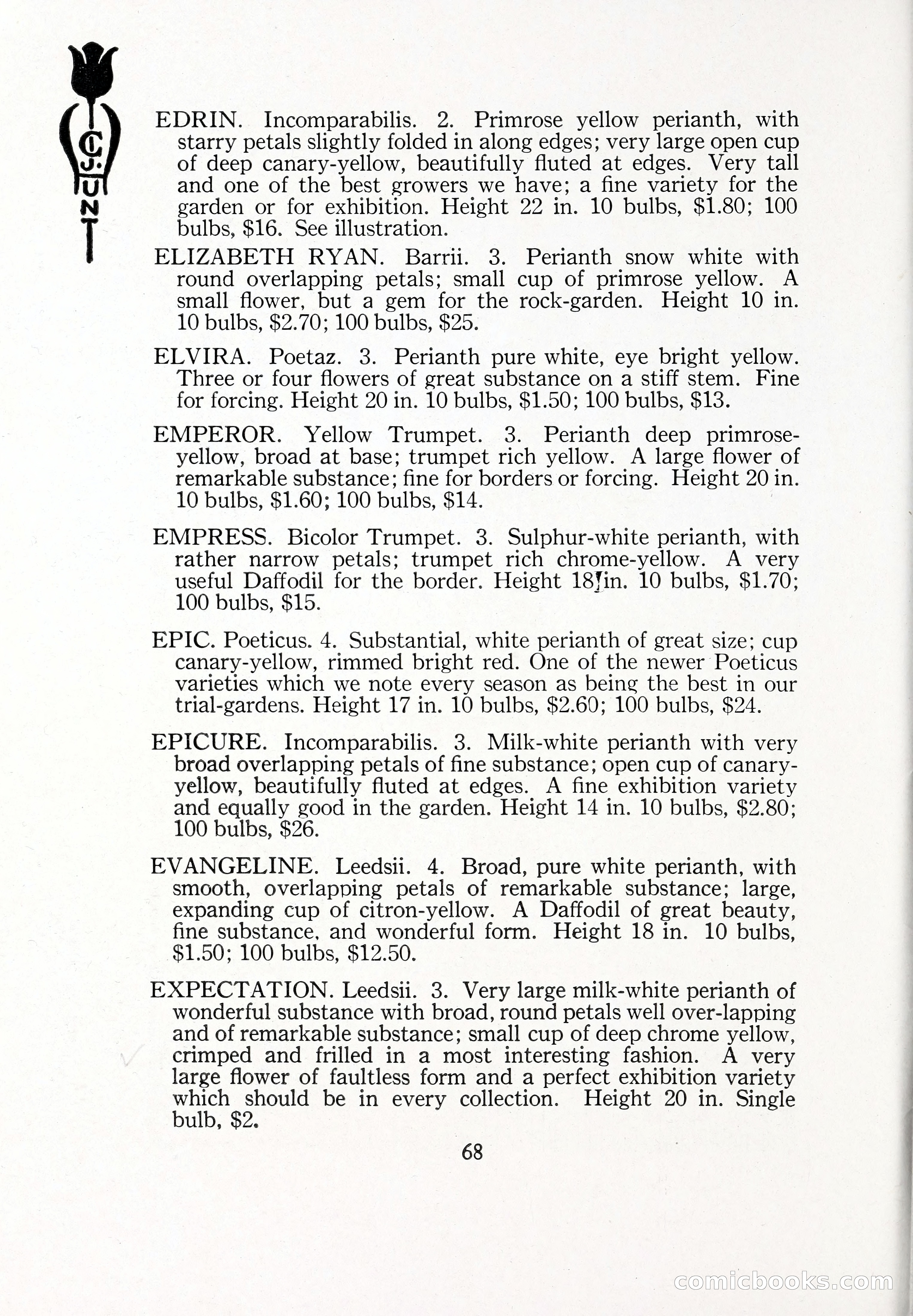 Blue Book of Bulbs, 1929 — page 99 of 128