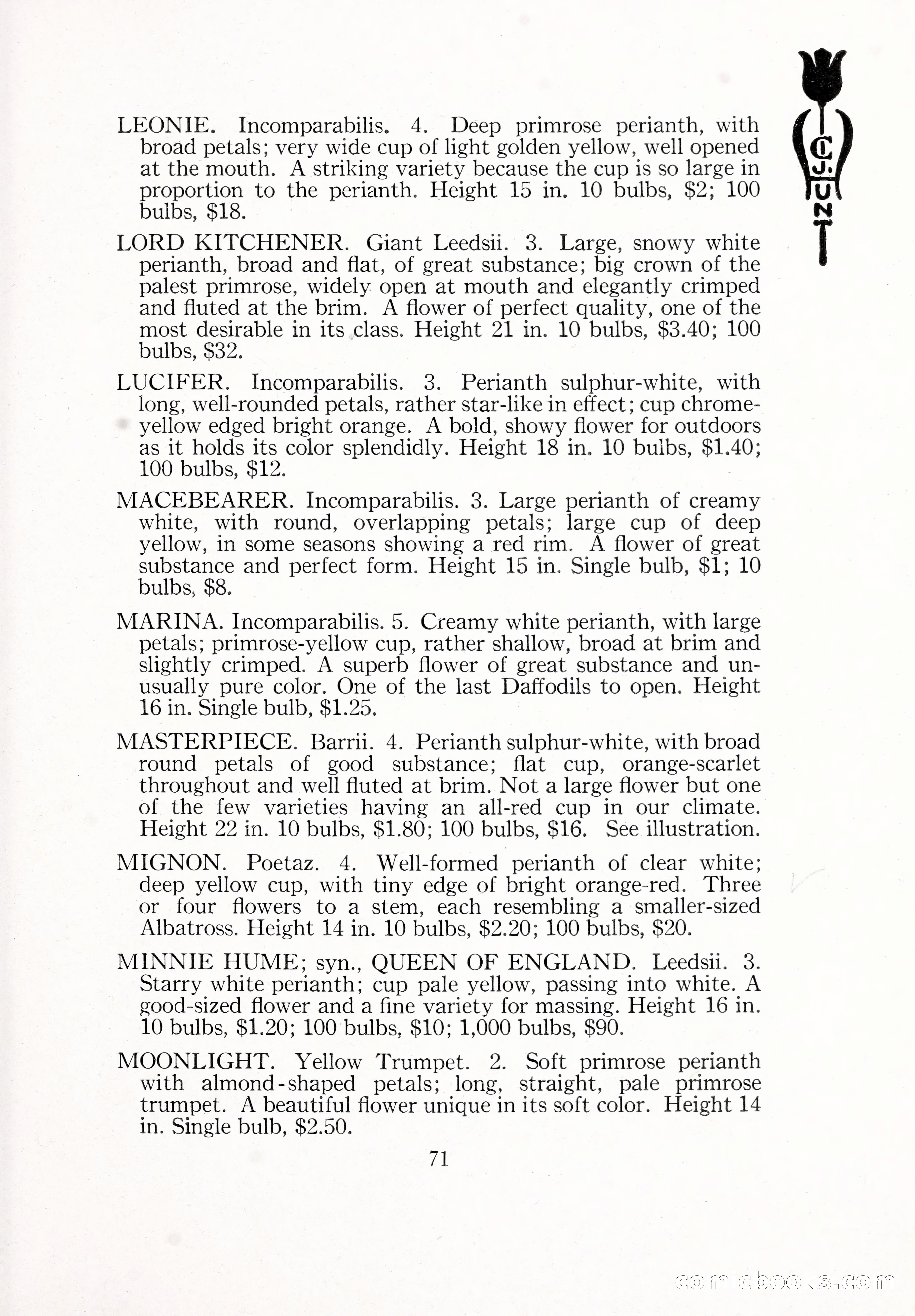 Blue Book of Bulbs, 1929 — page 104 of 128