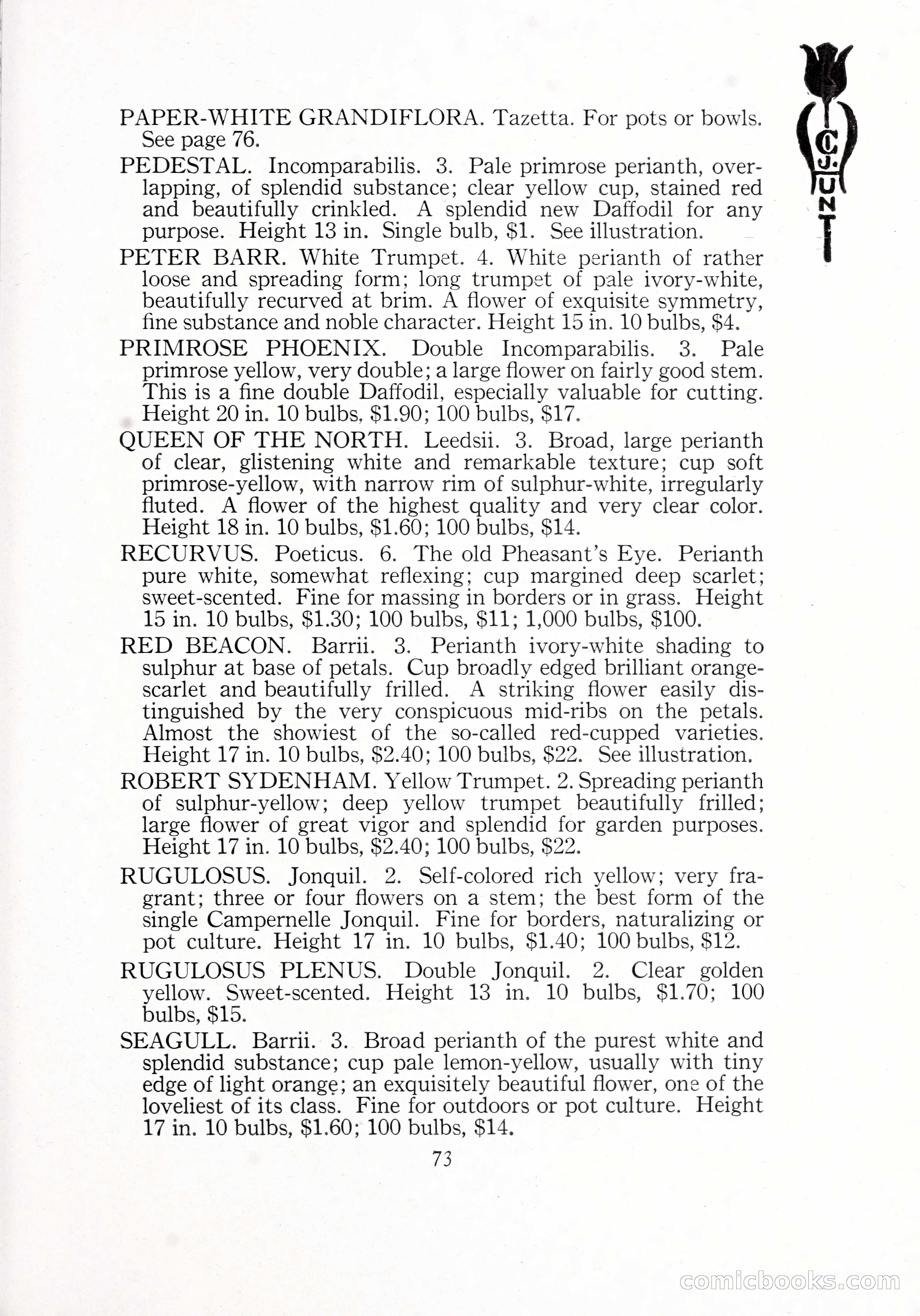 Blue Book of Bulbs, 1929 — page 108 of 128
