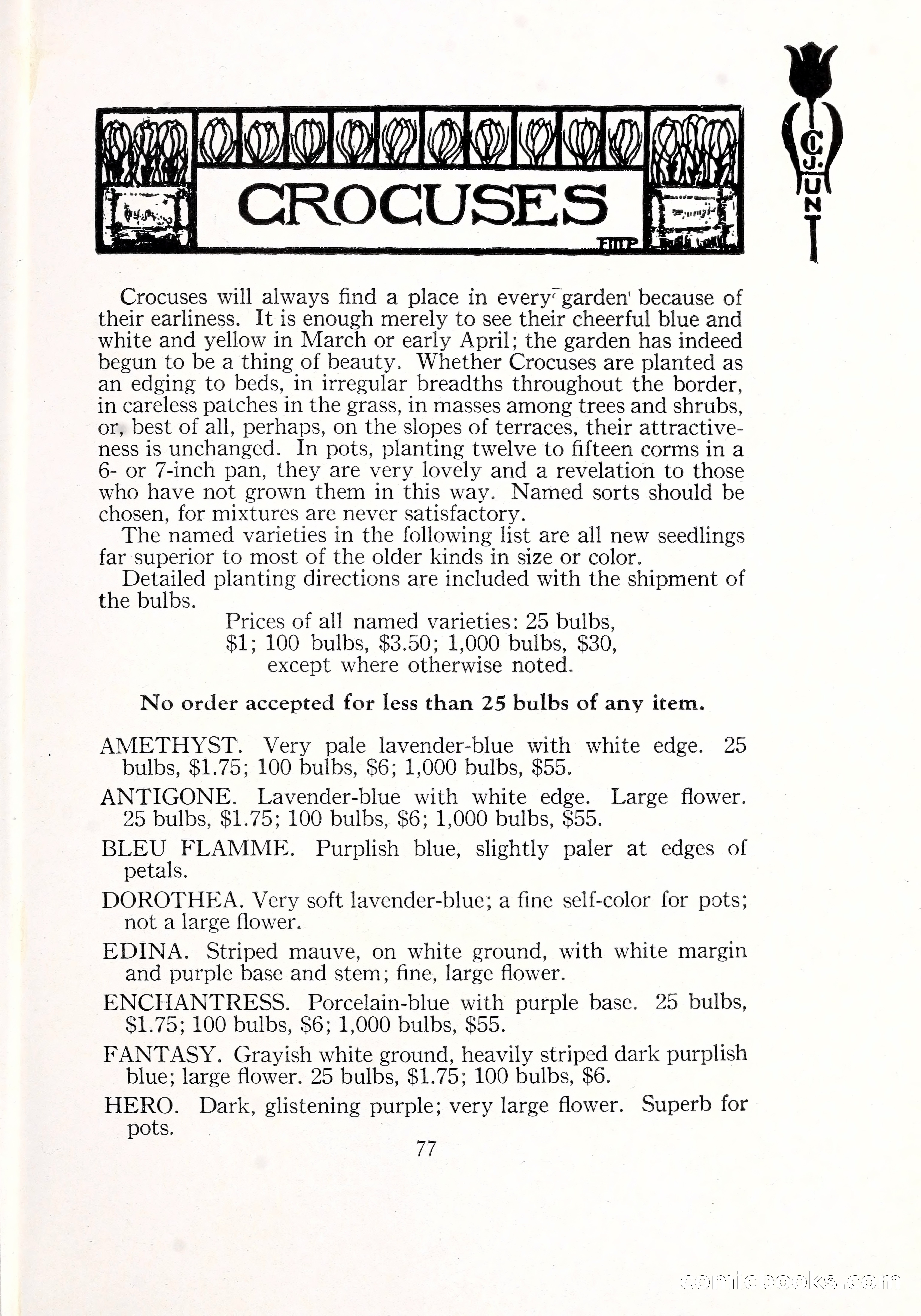 Blue Book of Bulbs, 1929 — page 114 of 128