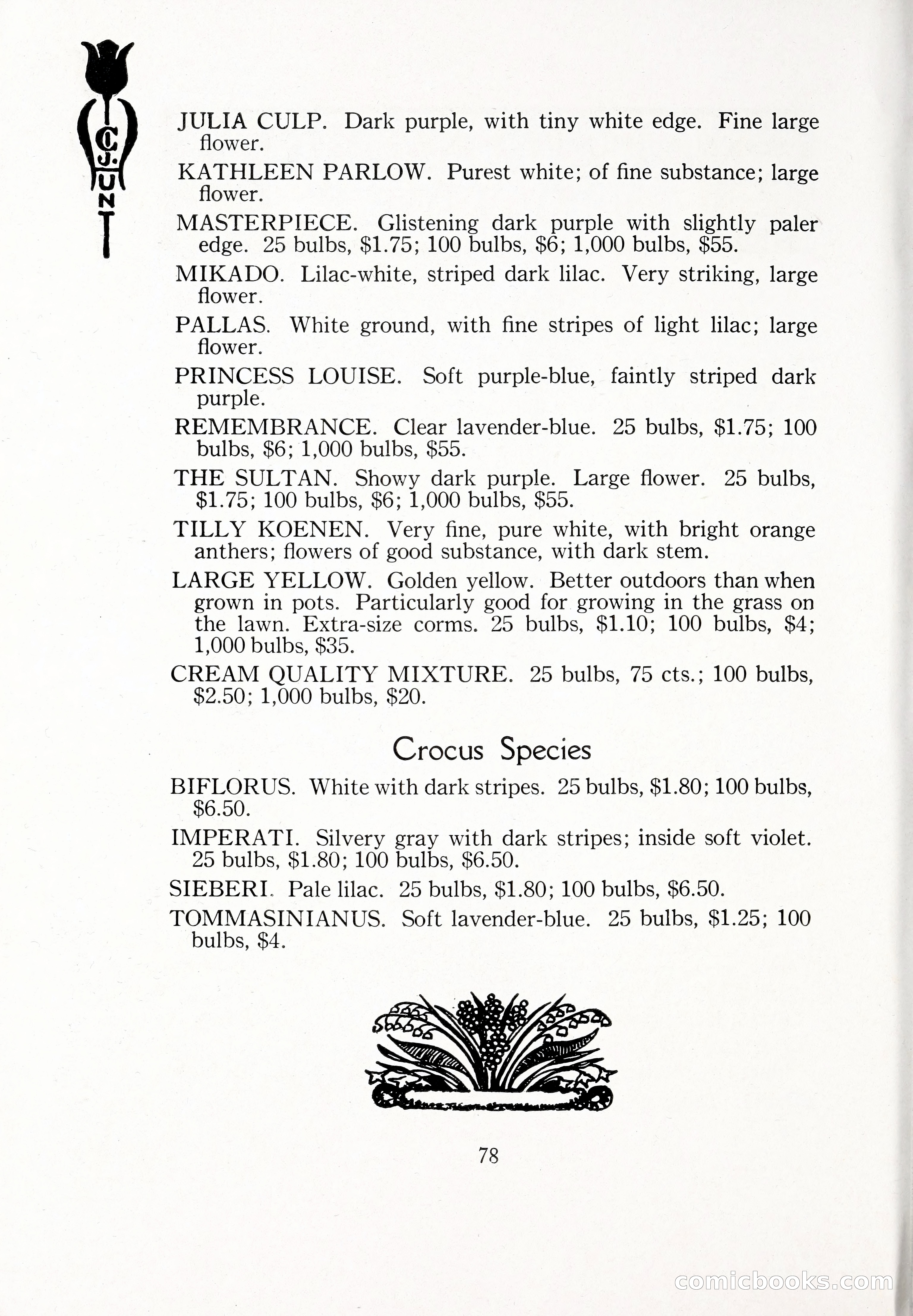 Blue Book of Bulbs, 1929 — page 115 of 128
