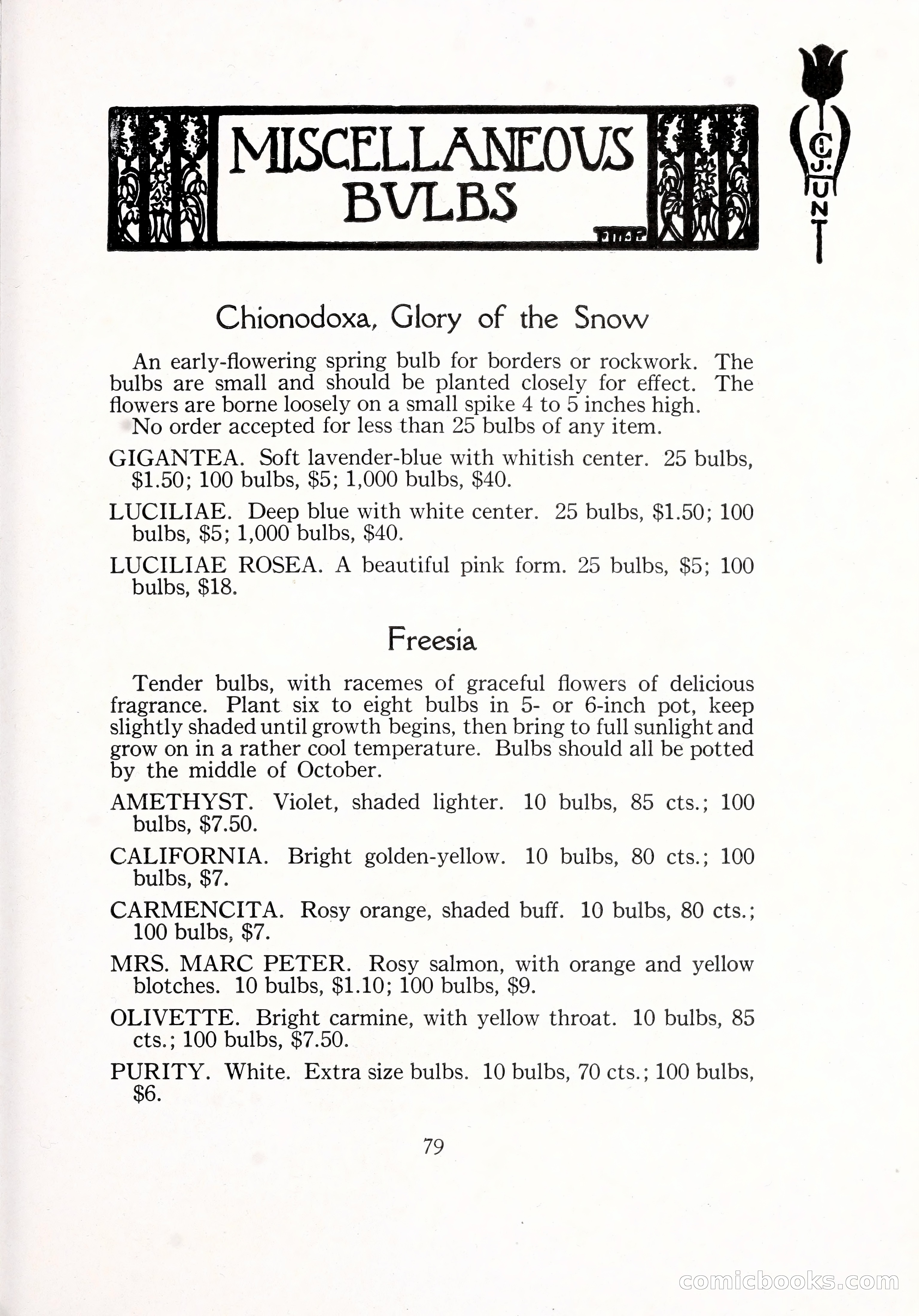 Blue Book of Bulbs, 1929 — page 116 of 128