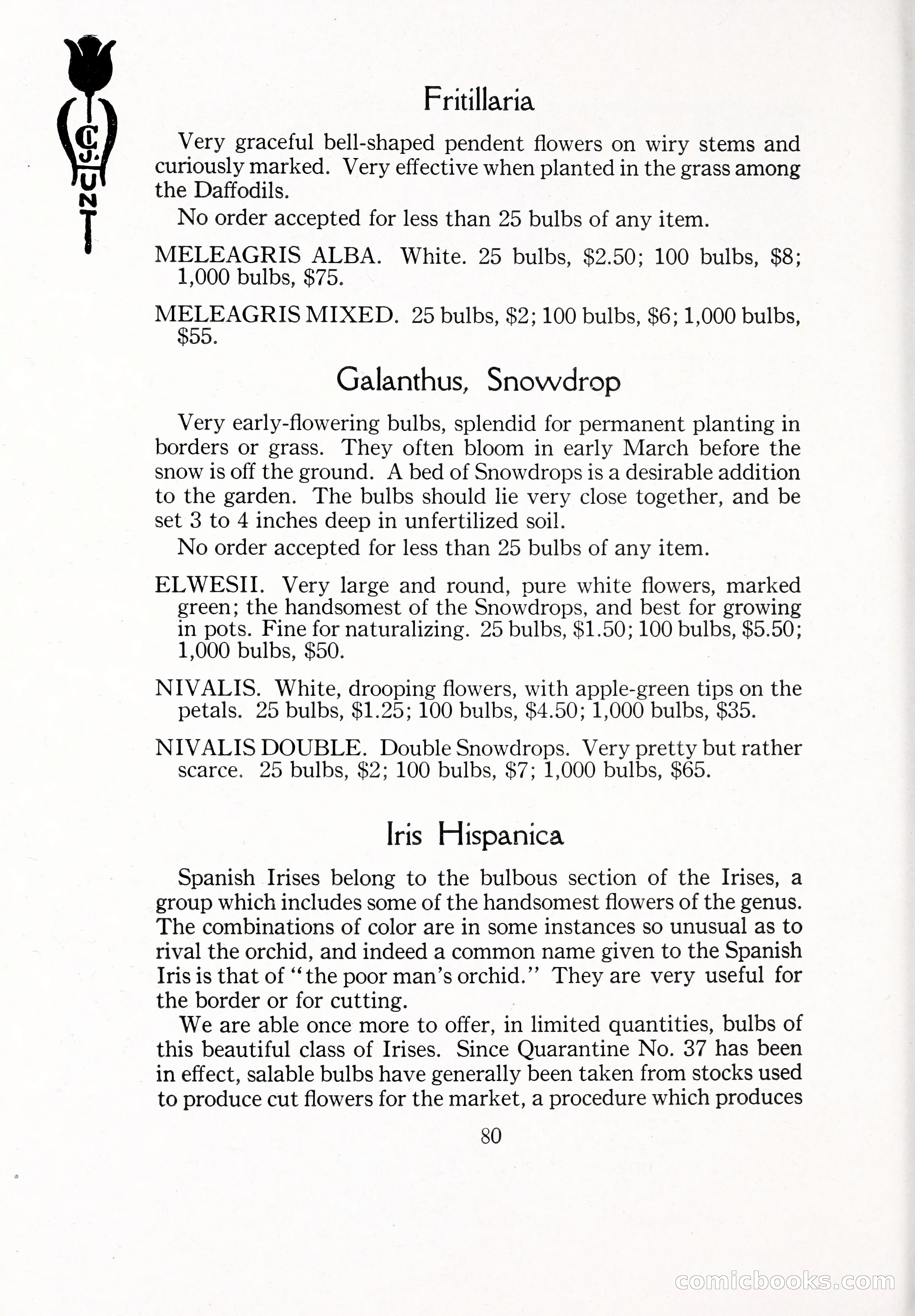 Blue Book of Bulbs, 1929 — page 117 of 128