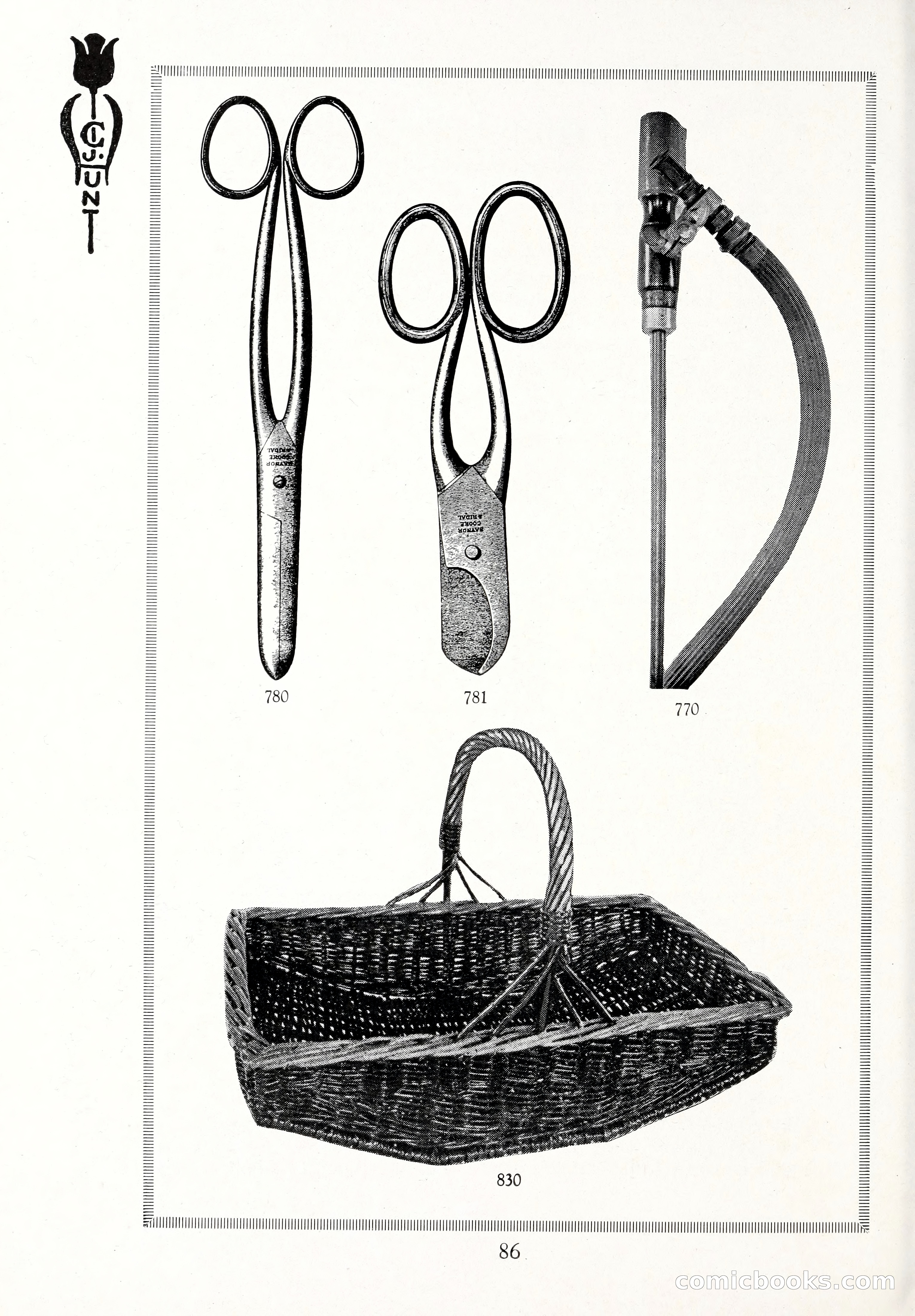 Blue Book of Bulbs, 1929 — page 123 of 128