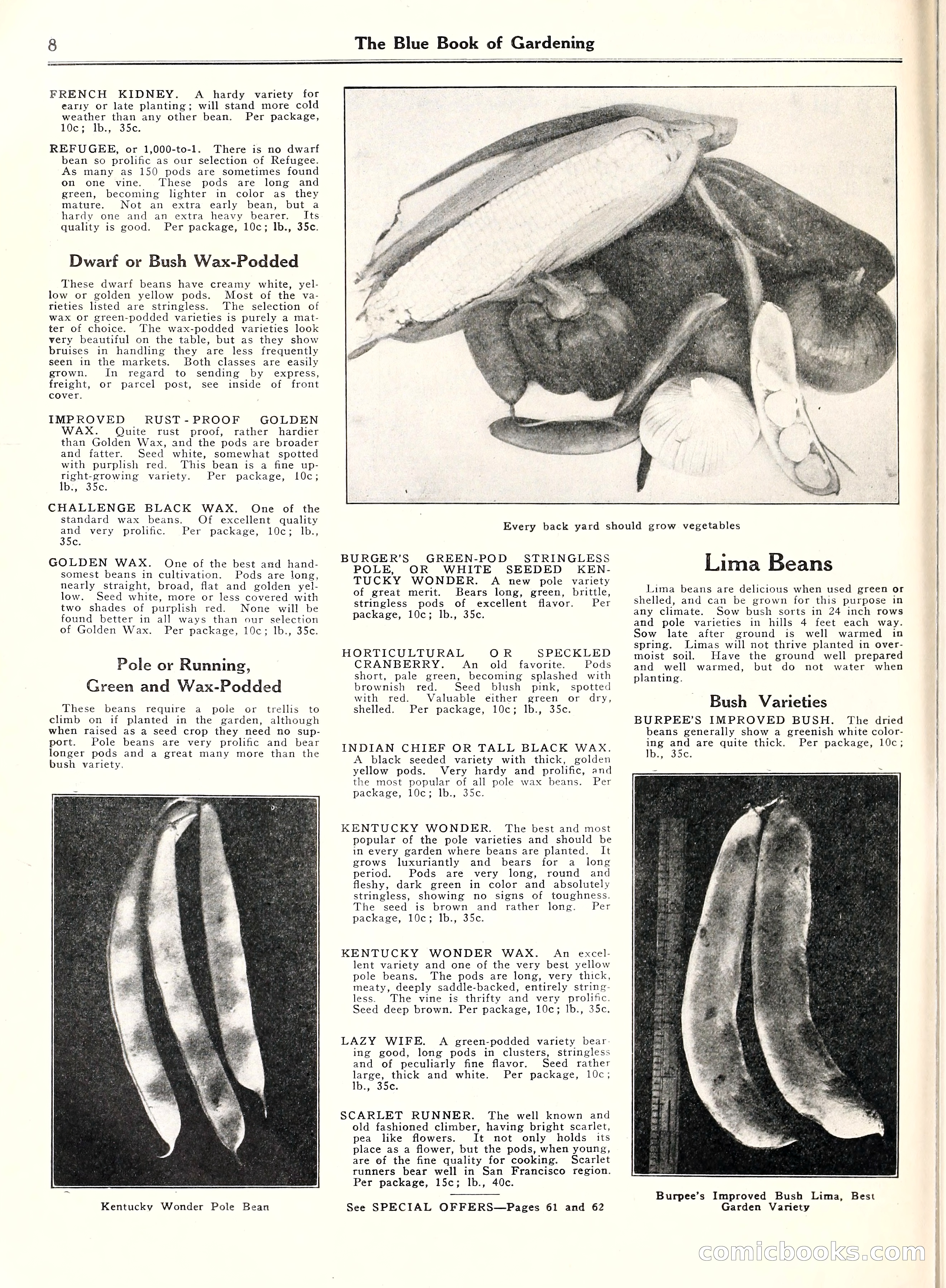 Blue Book of Gardening, 1929 — page 13 of 72