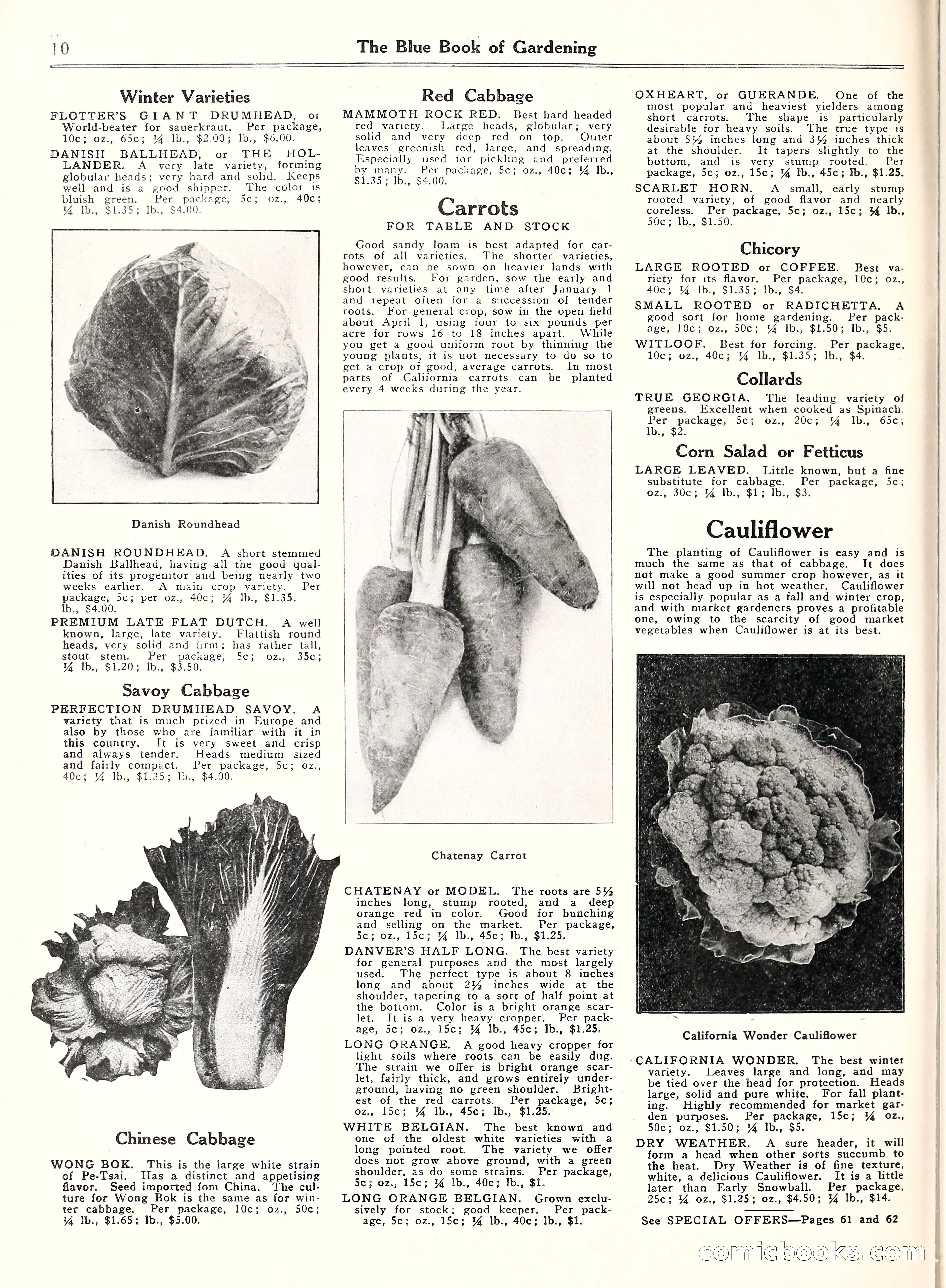 Blue Book of Gardening, 1929 — page 15 of 72