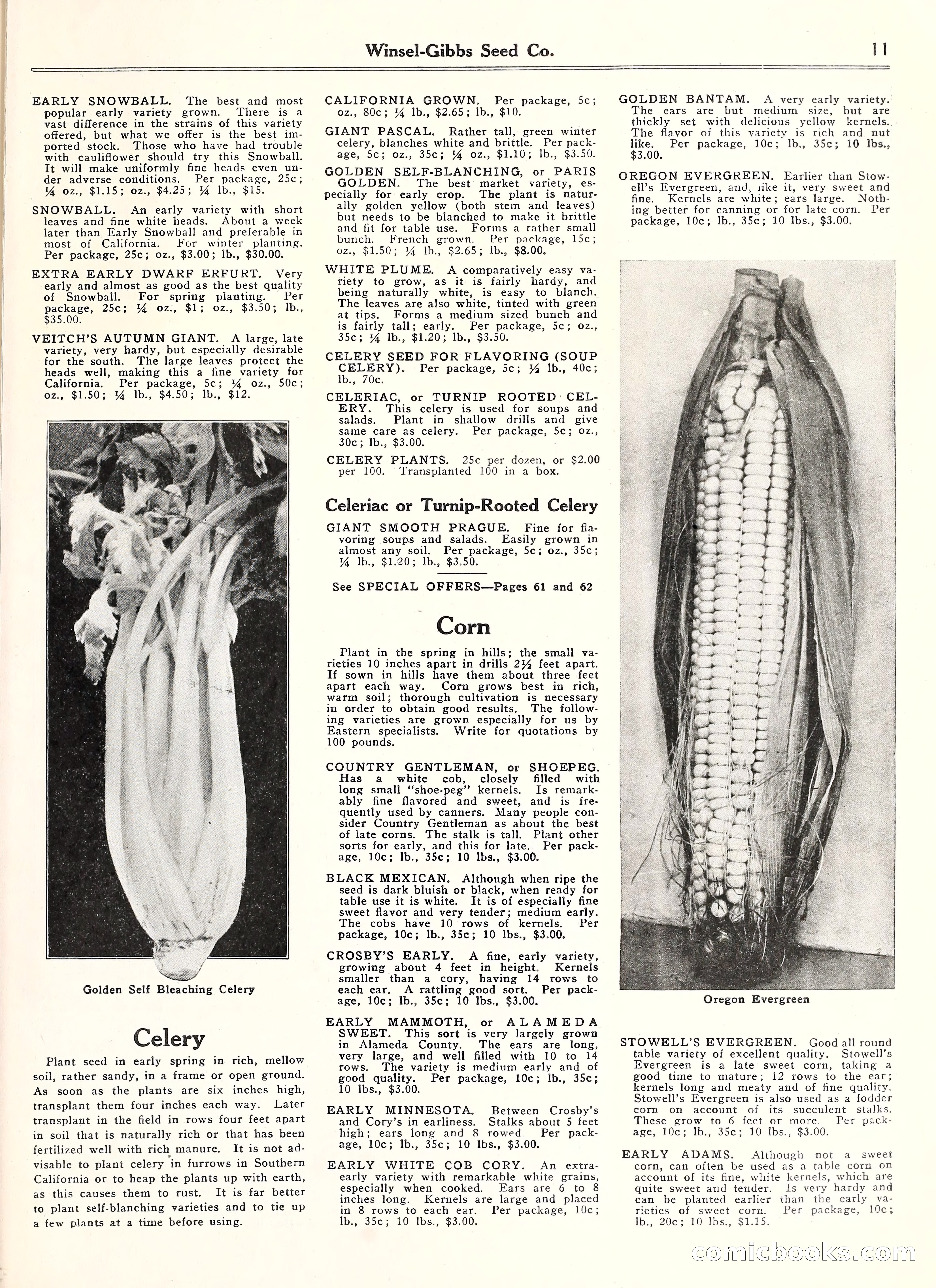Blue Book of Gardening, 1929 — page 16 of 72