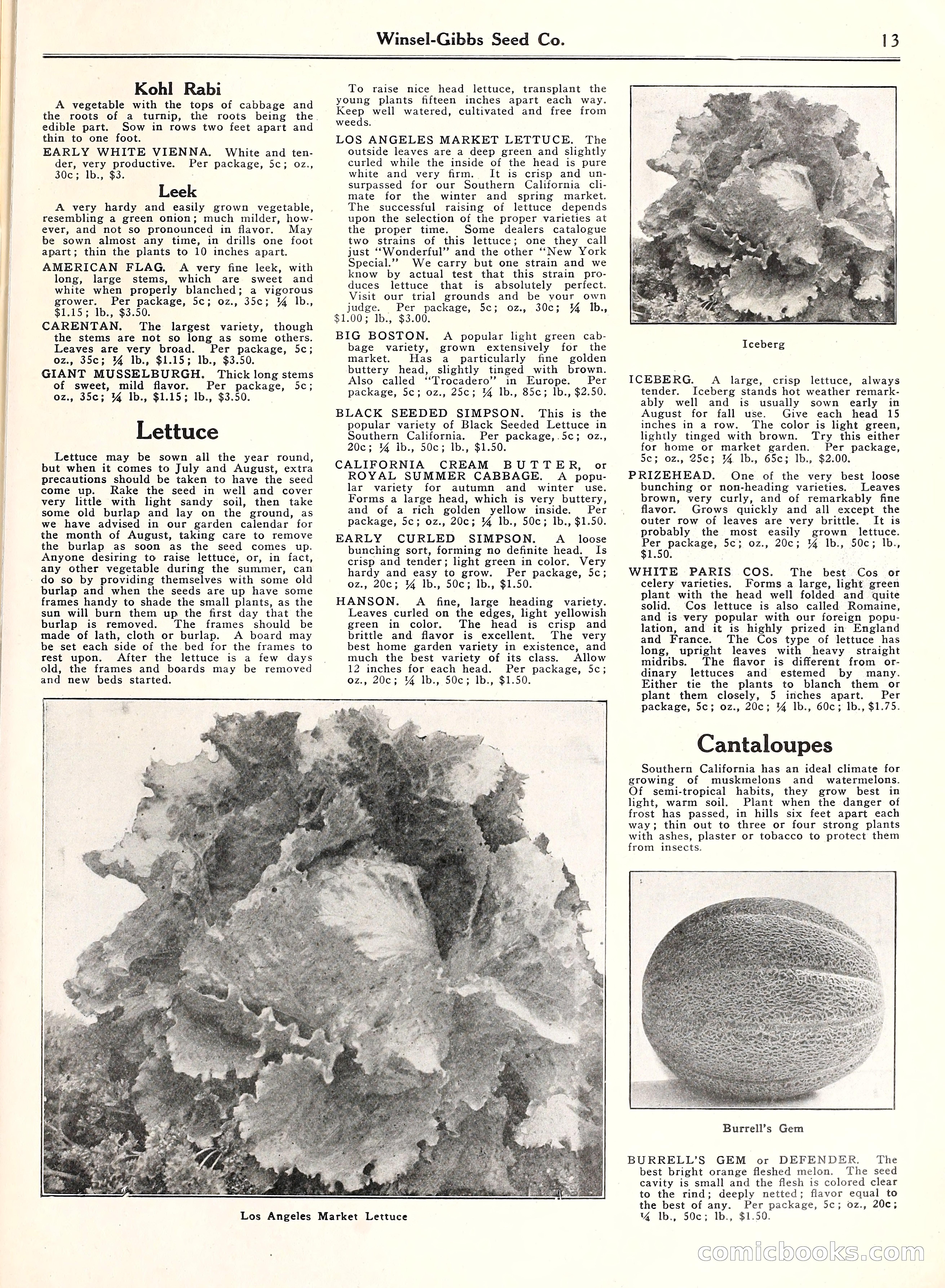 Blue Book of Gardening, 1929 — page 18 of 72