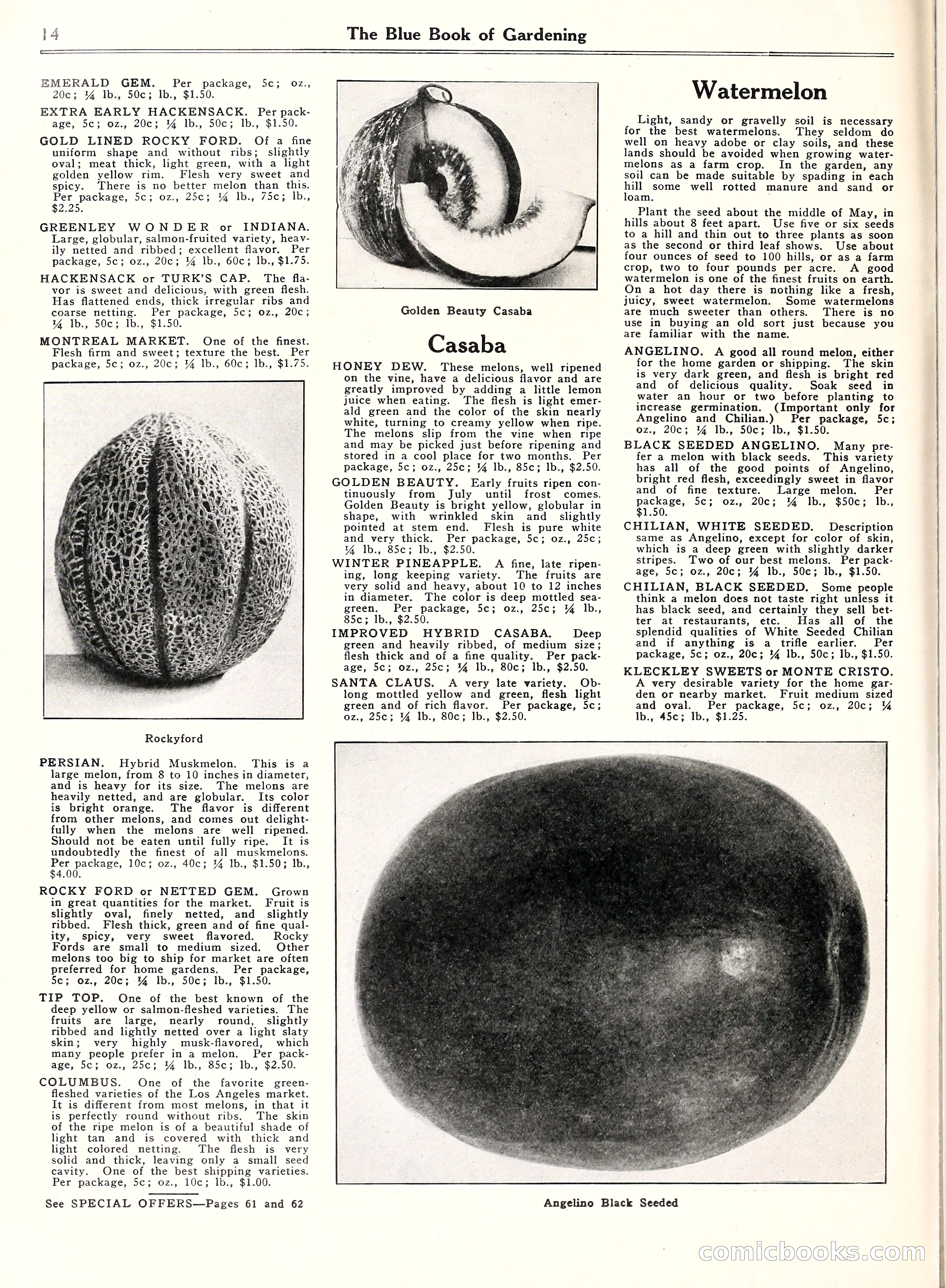 Blue Book of Gardening, 1929 — page 19 of 72