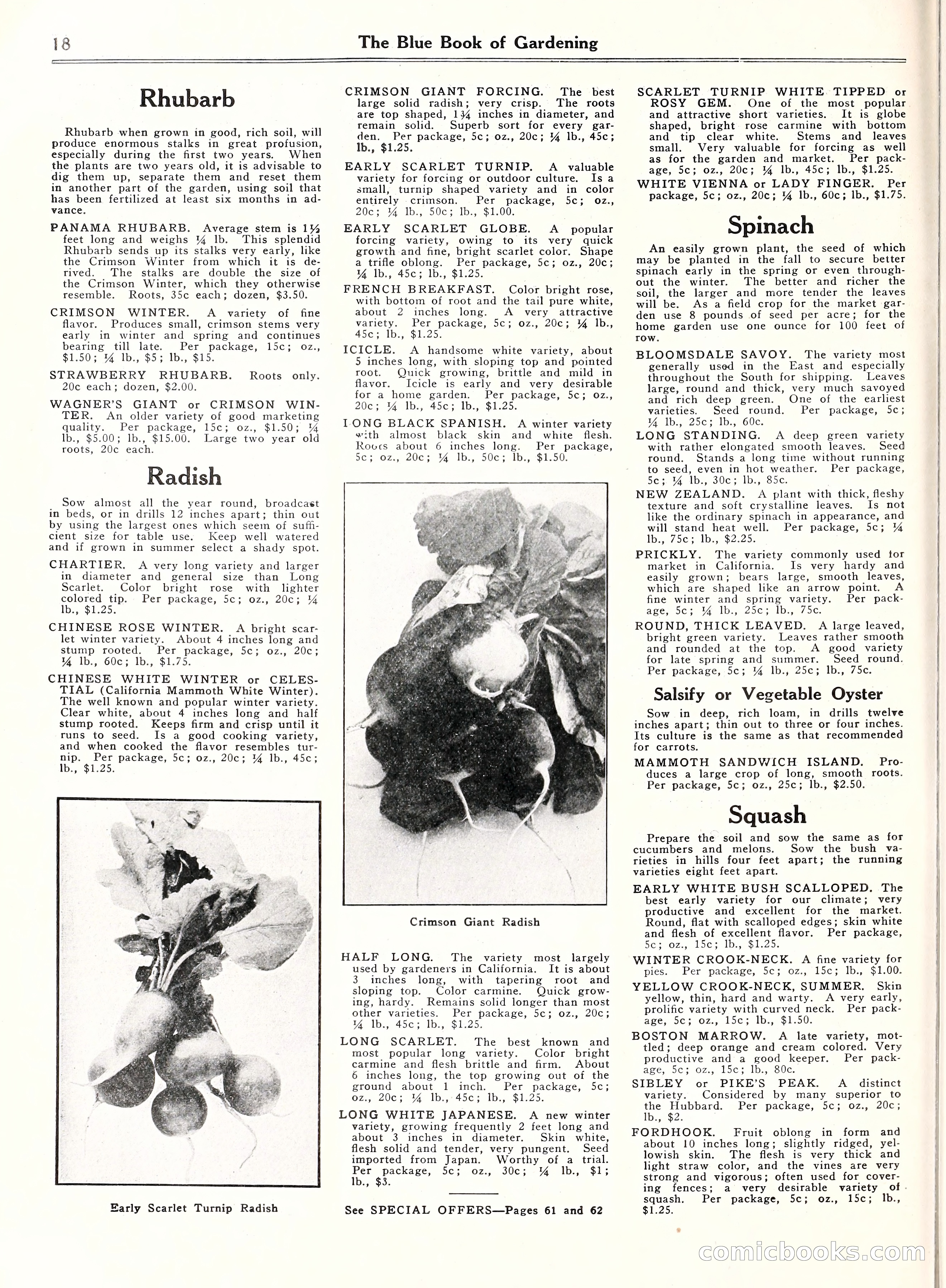 Blue Book of Gardening, 1929 — page 23 of 72