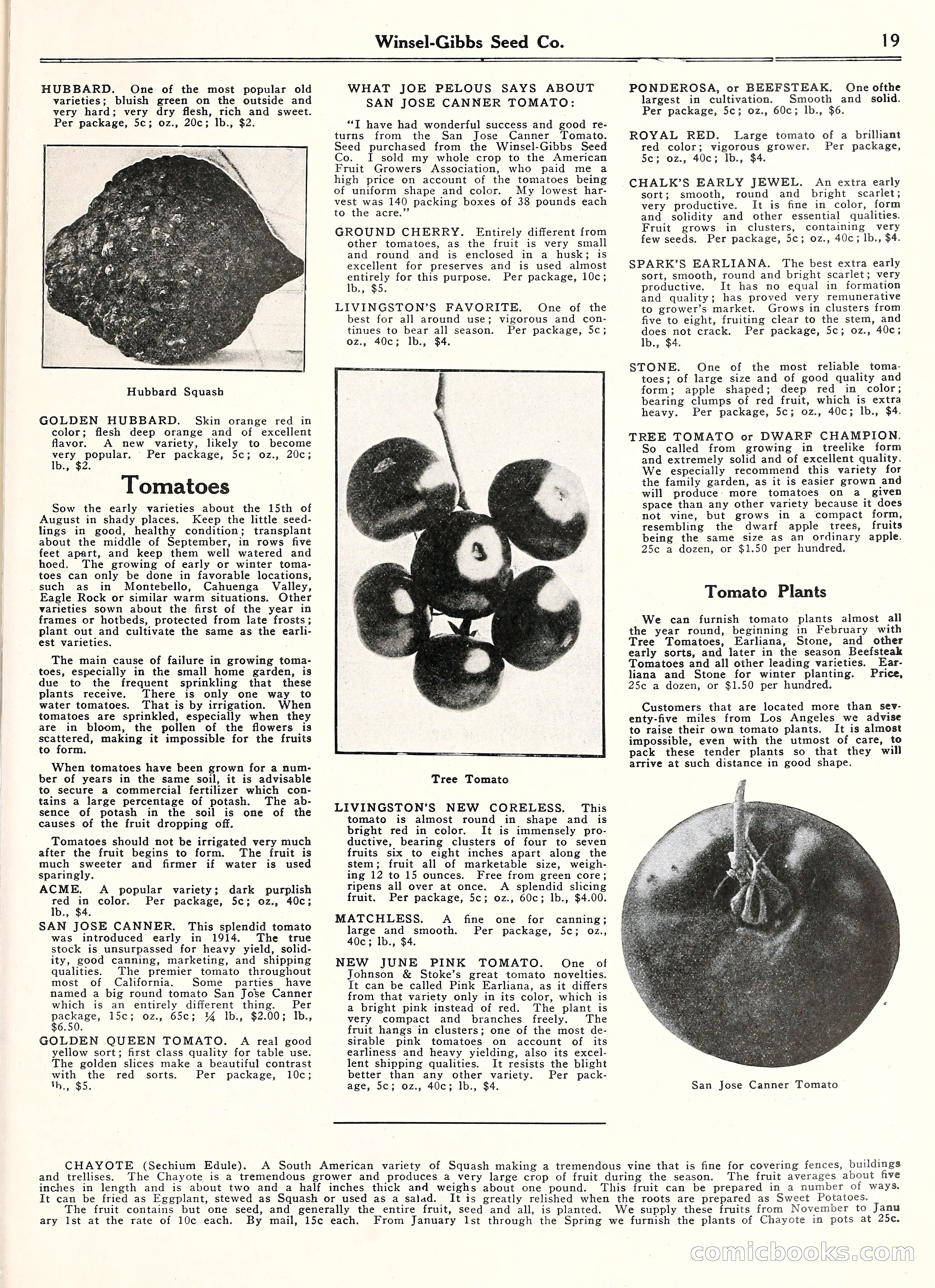 Blue Book of Gardening, 1929 — page 24 of 72