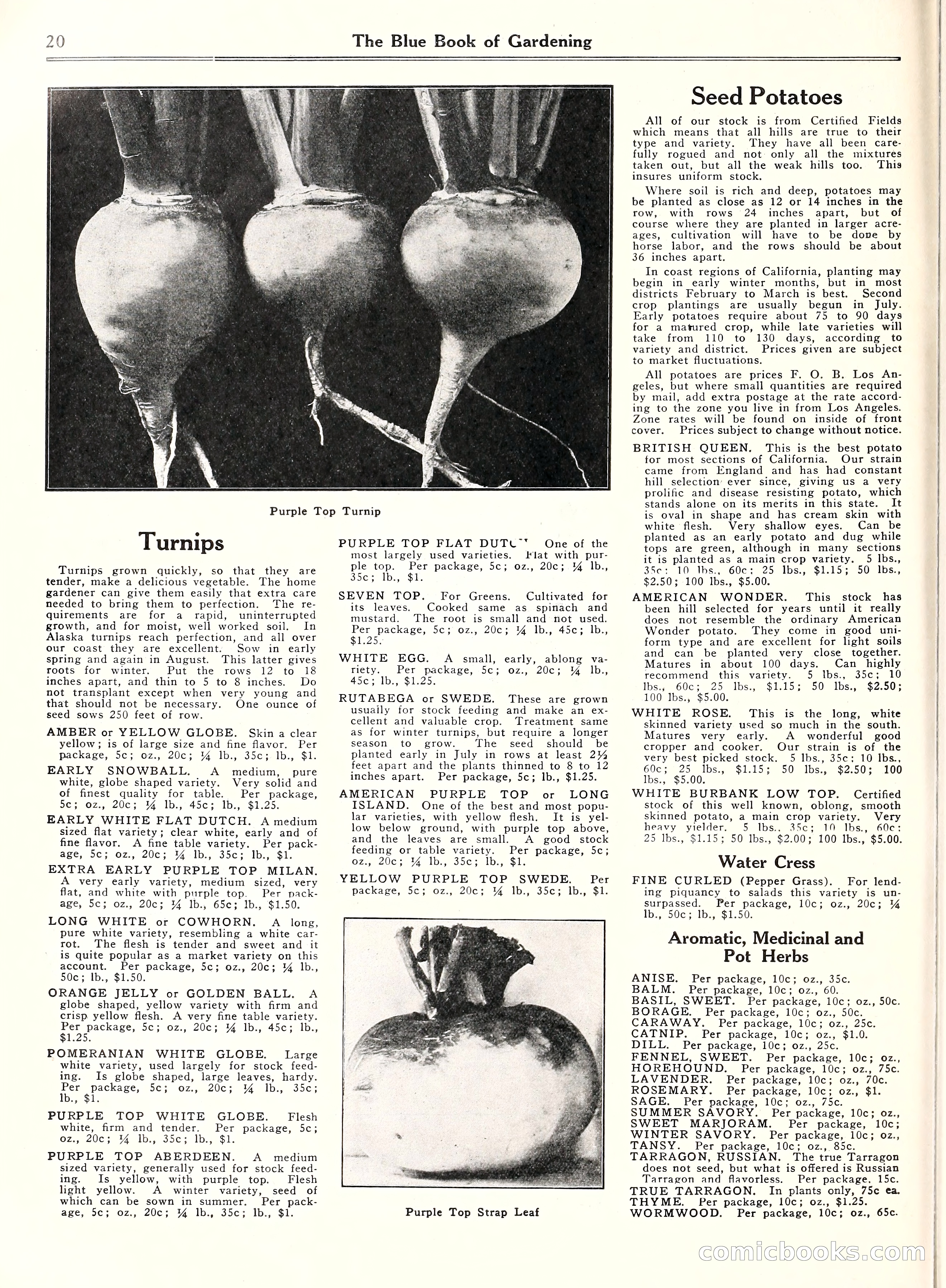 Blue Book of Gardening, 1929 — page 25 of 72