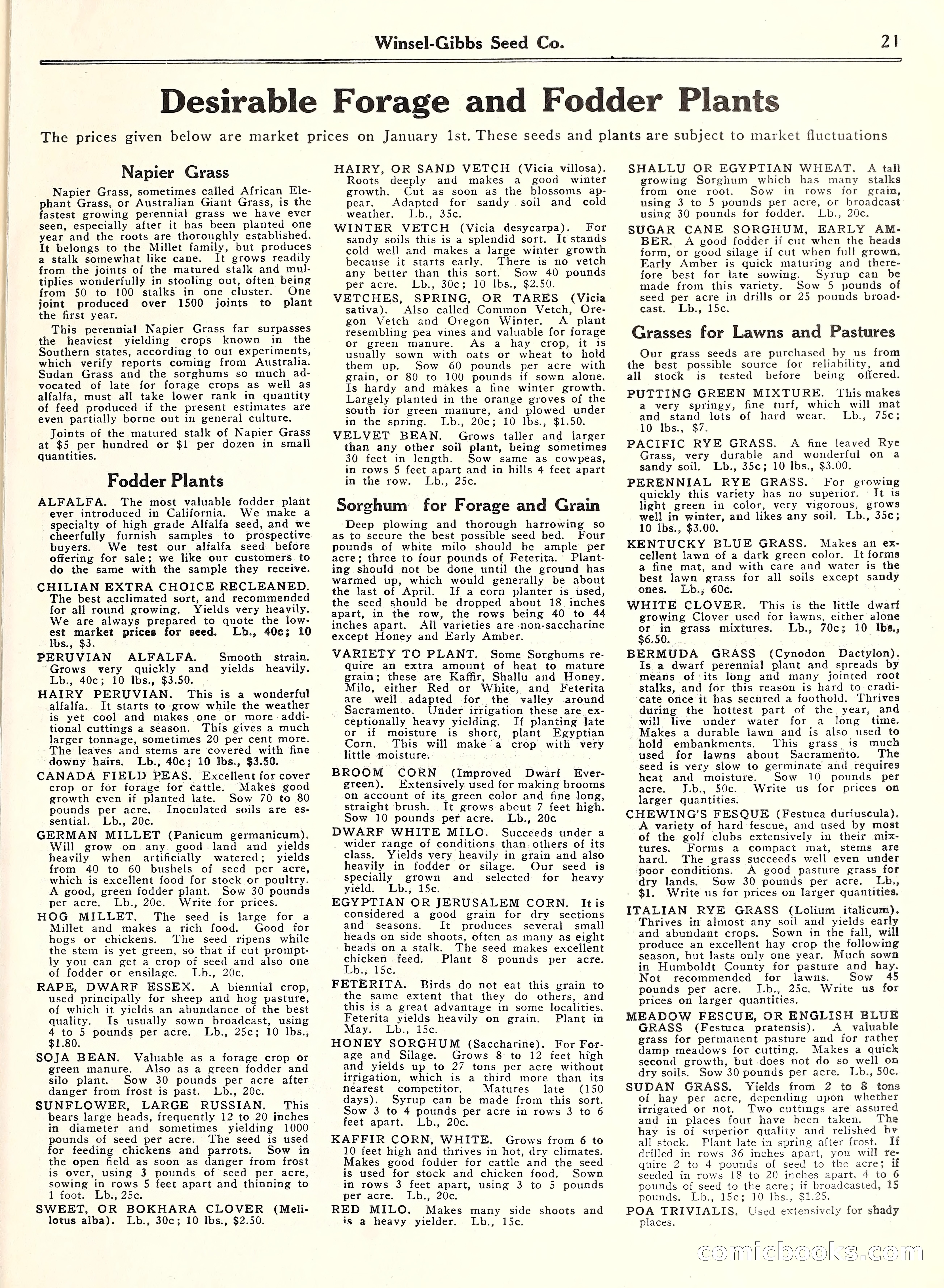 Blue Book of Gardening, 1929 — page 26 of 72