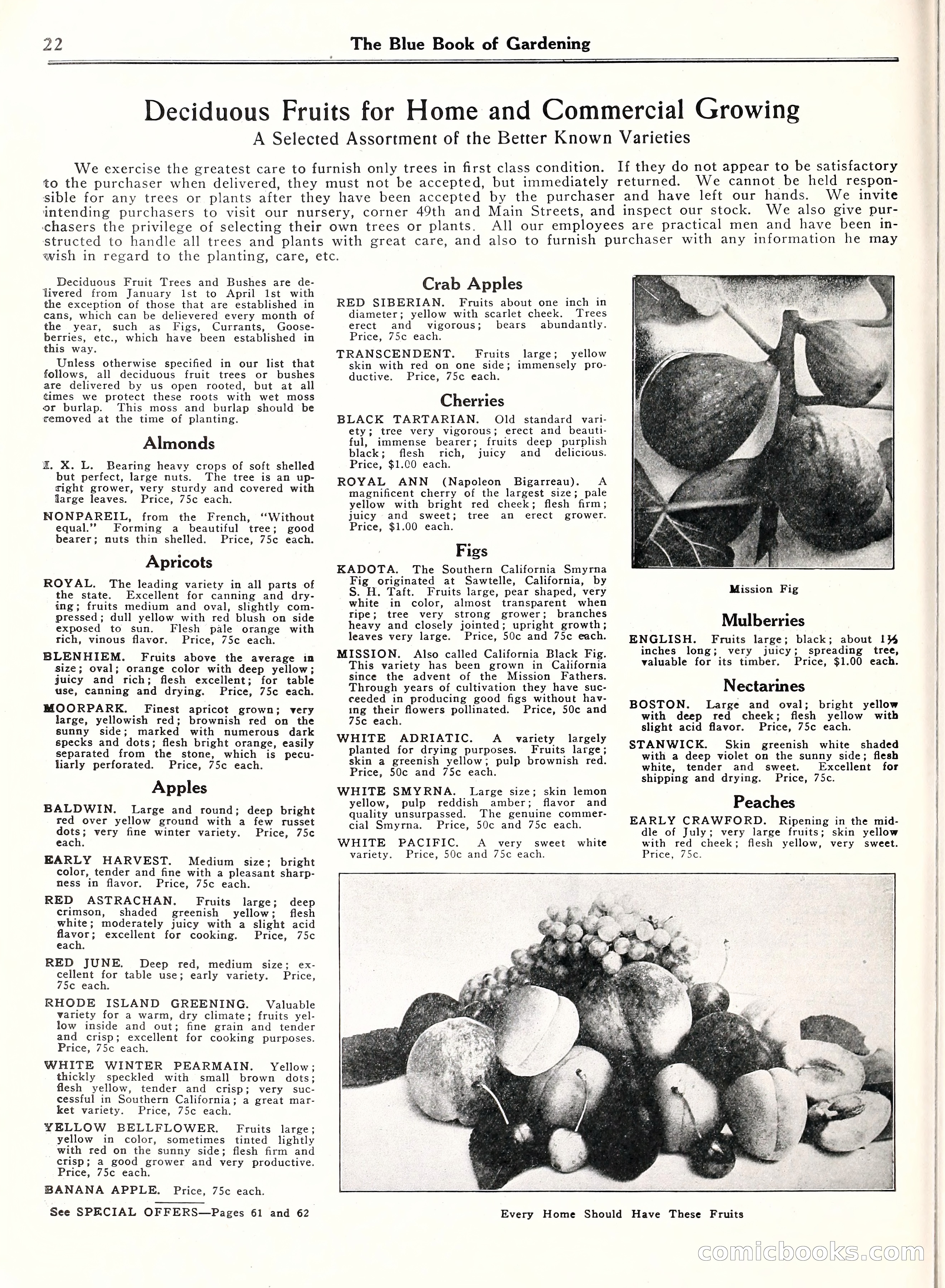 Blue Book of Gardening, 1929 — page 27 of 72