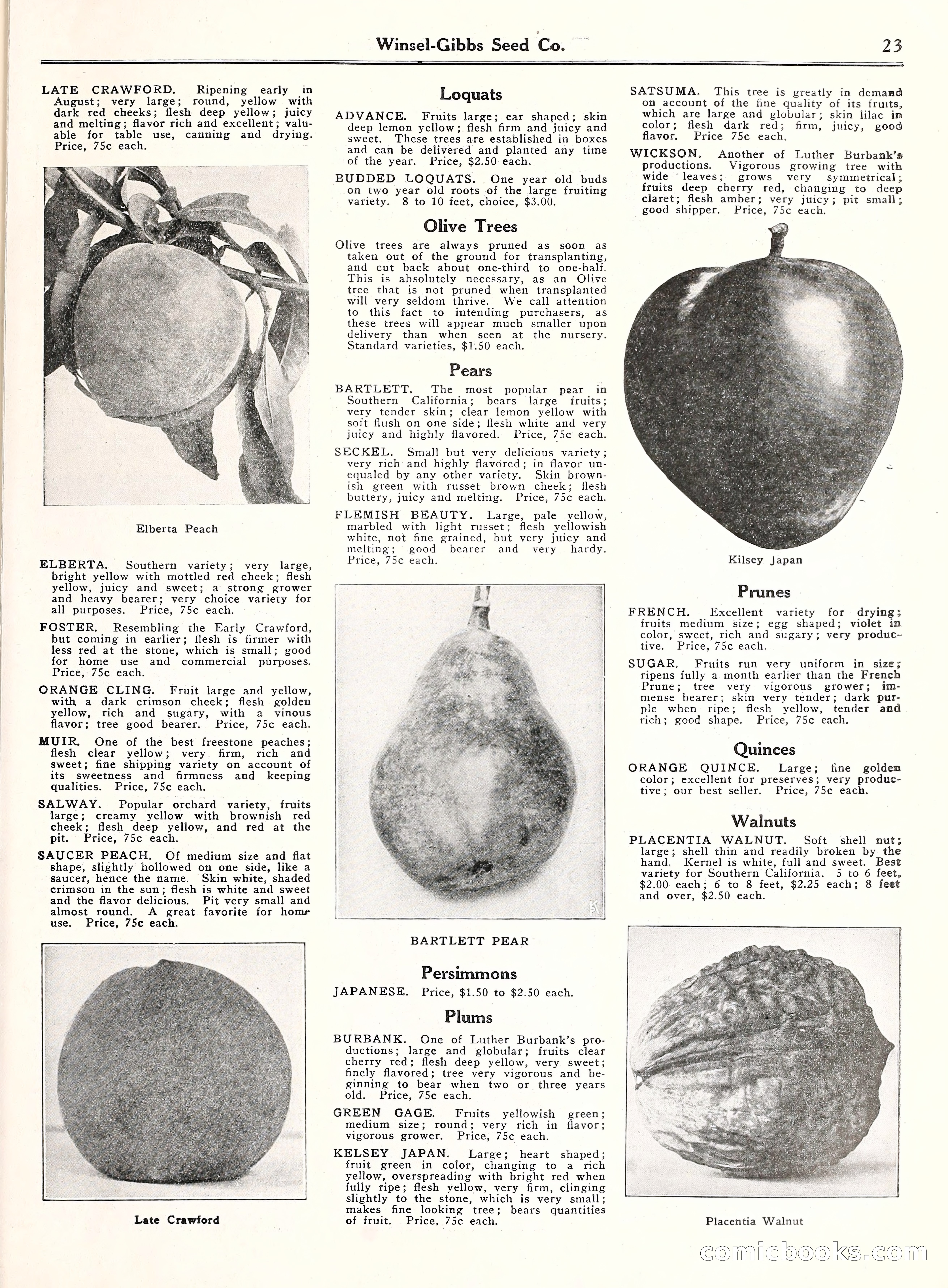 Blue Book of Gardening, 1929 — page 28 of 72