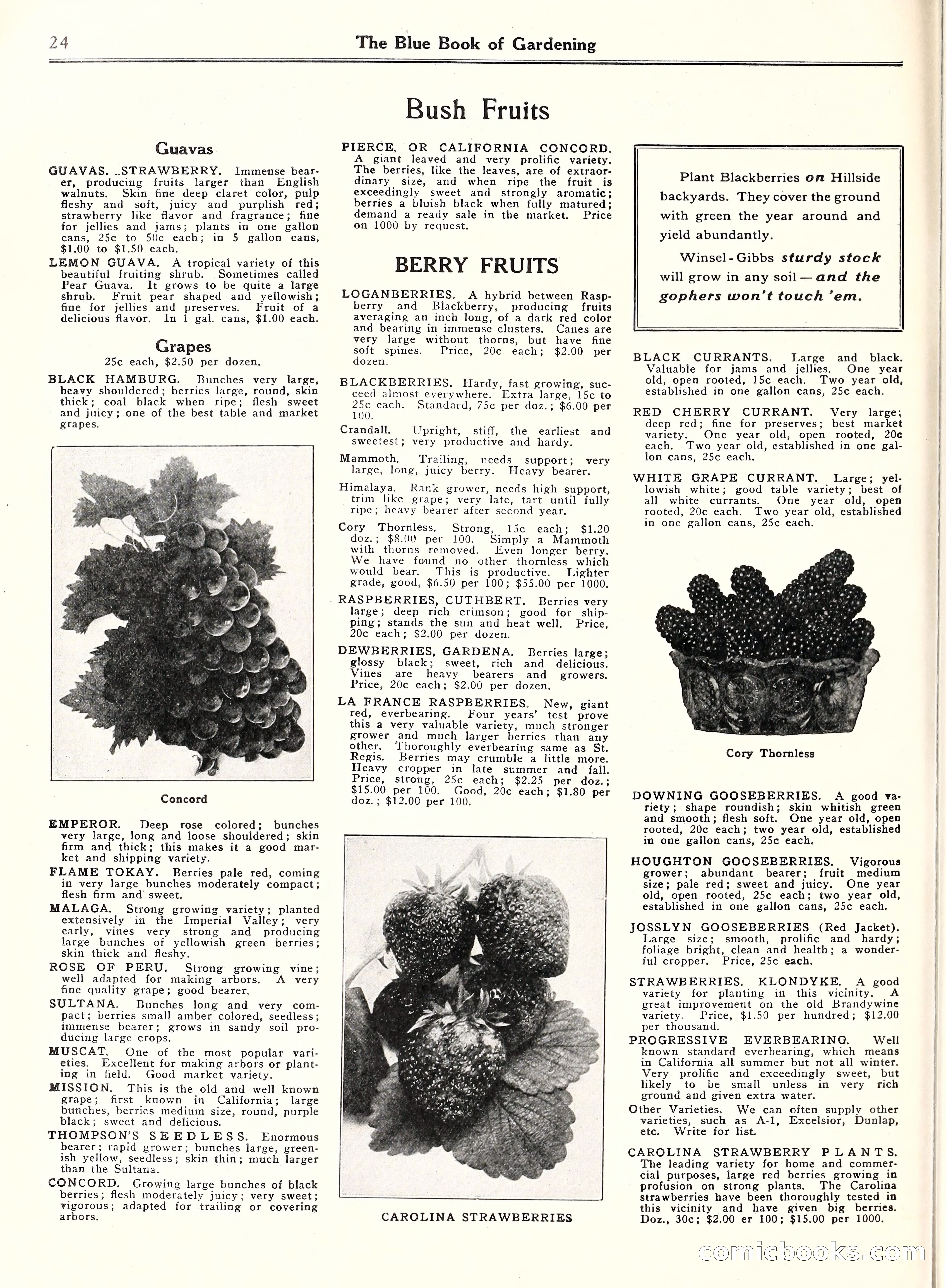 Blue Book of Gardening, 1929 — page 29 of 72
