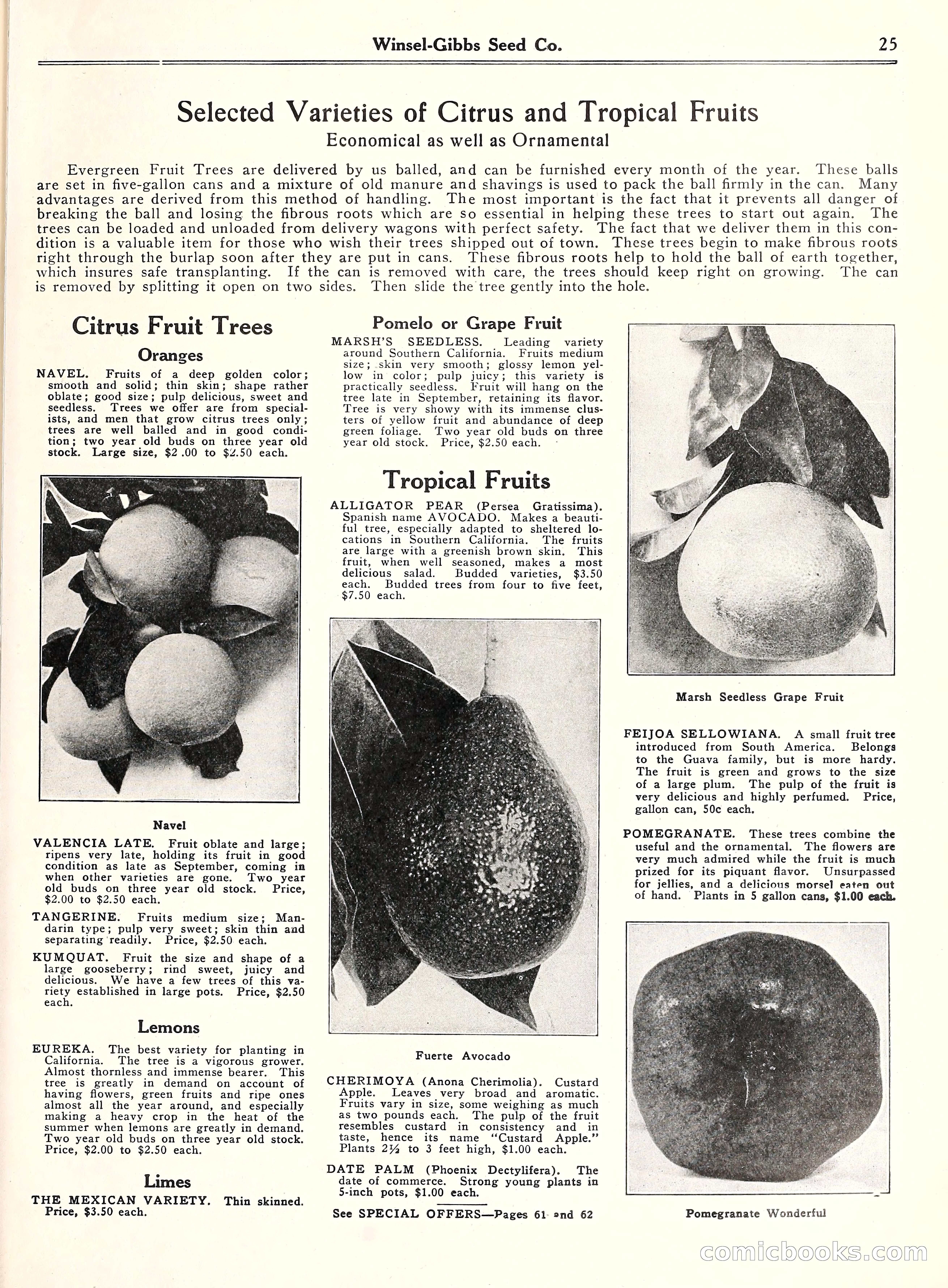 Blue Book of Gardening, 1929 — page 30 of 72
