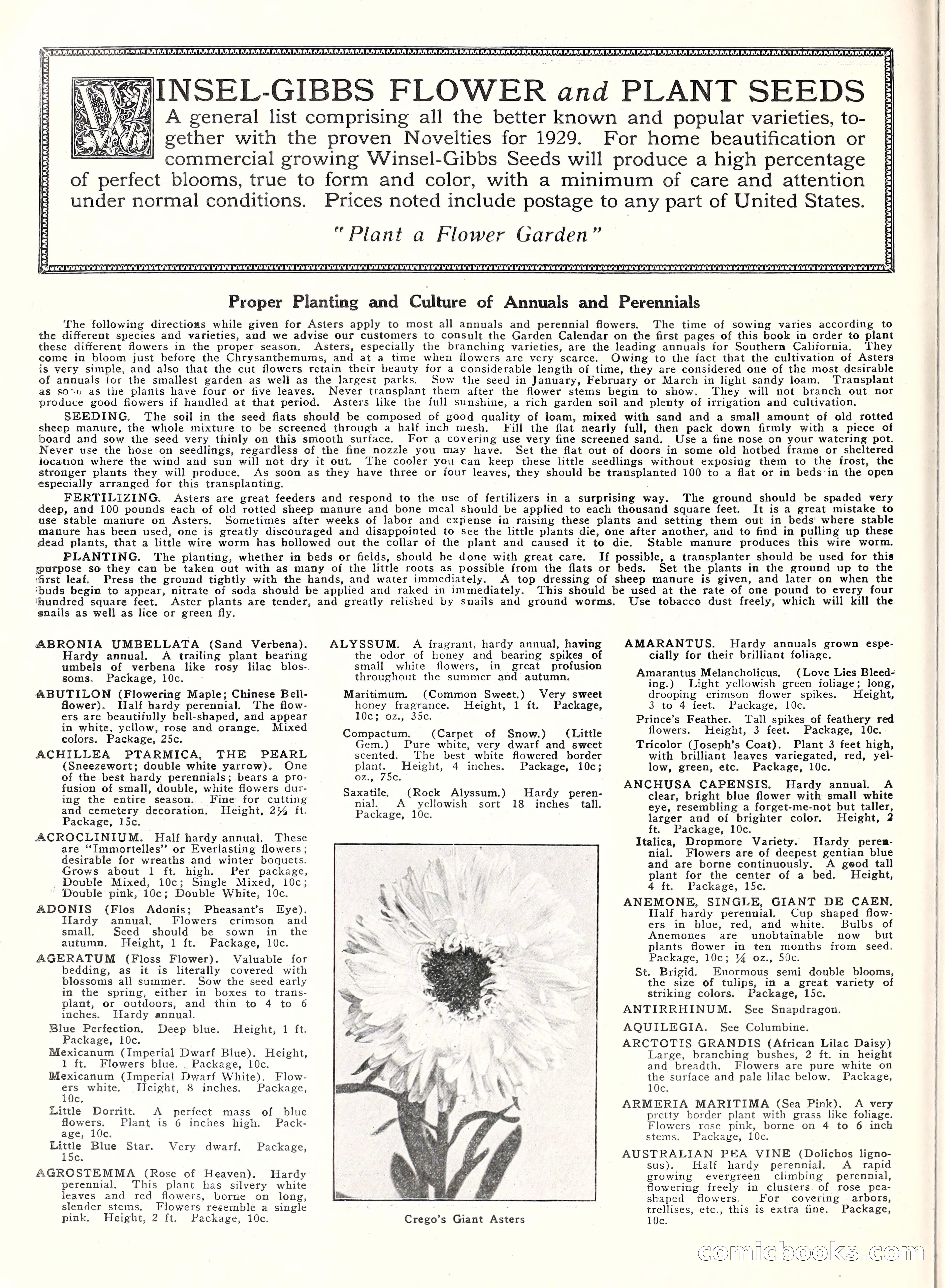 Blue Book of Gardening, 1929 — page 31 of 72